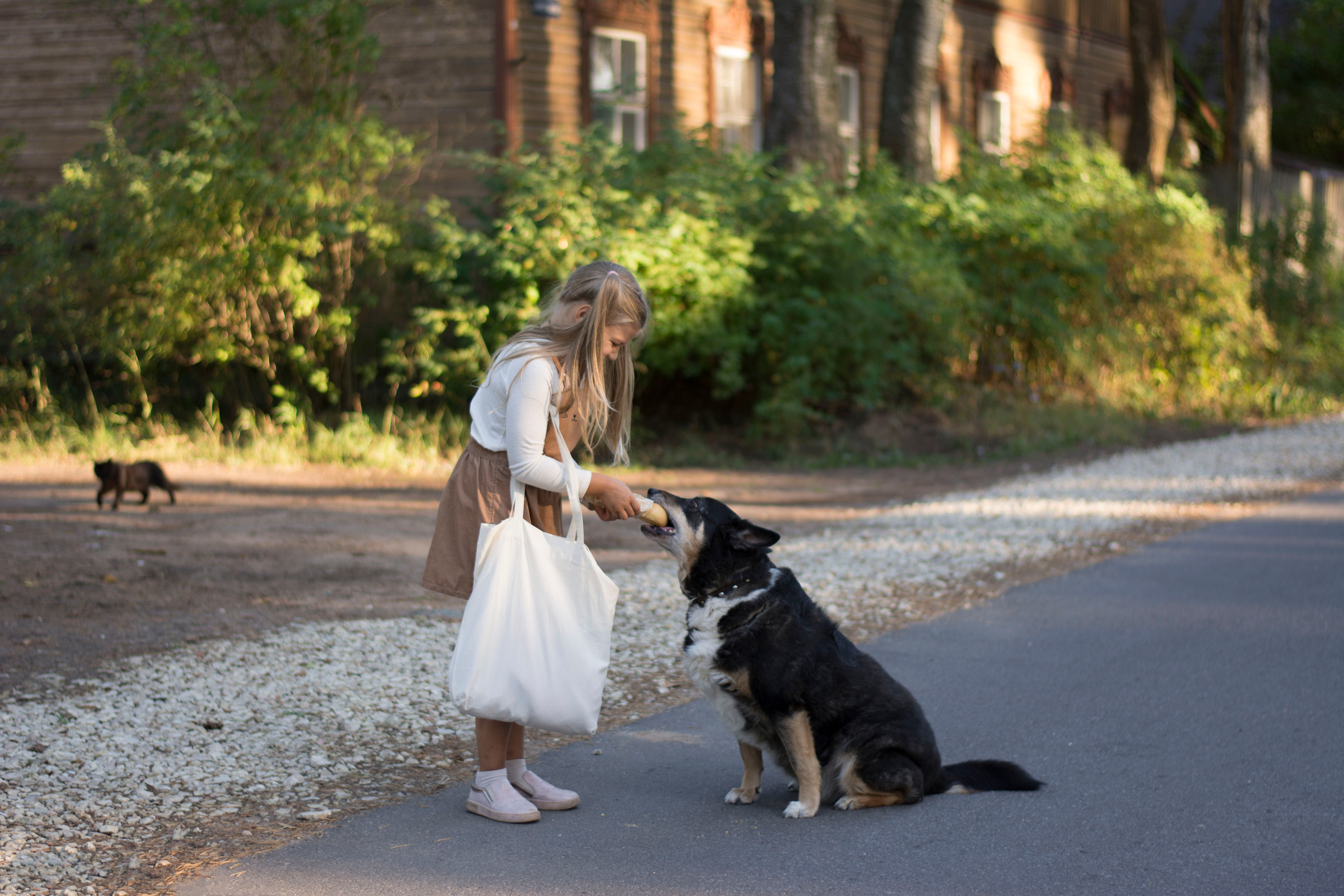 Неожиданная встреча. Детская и семейная фотография. г. Луга, Татьяна Котова