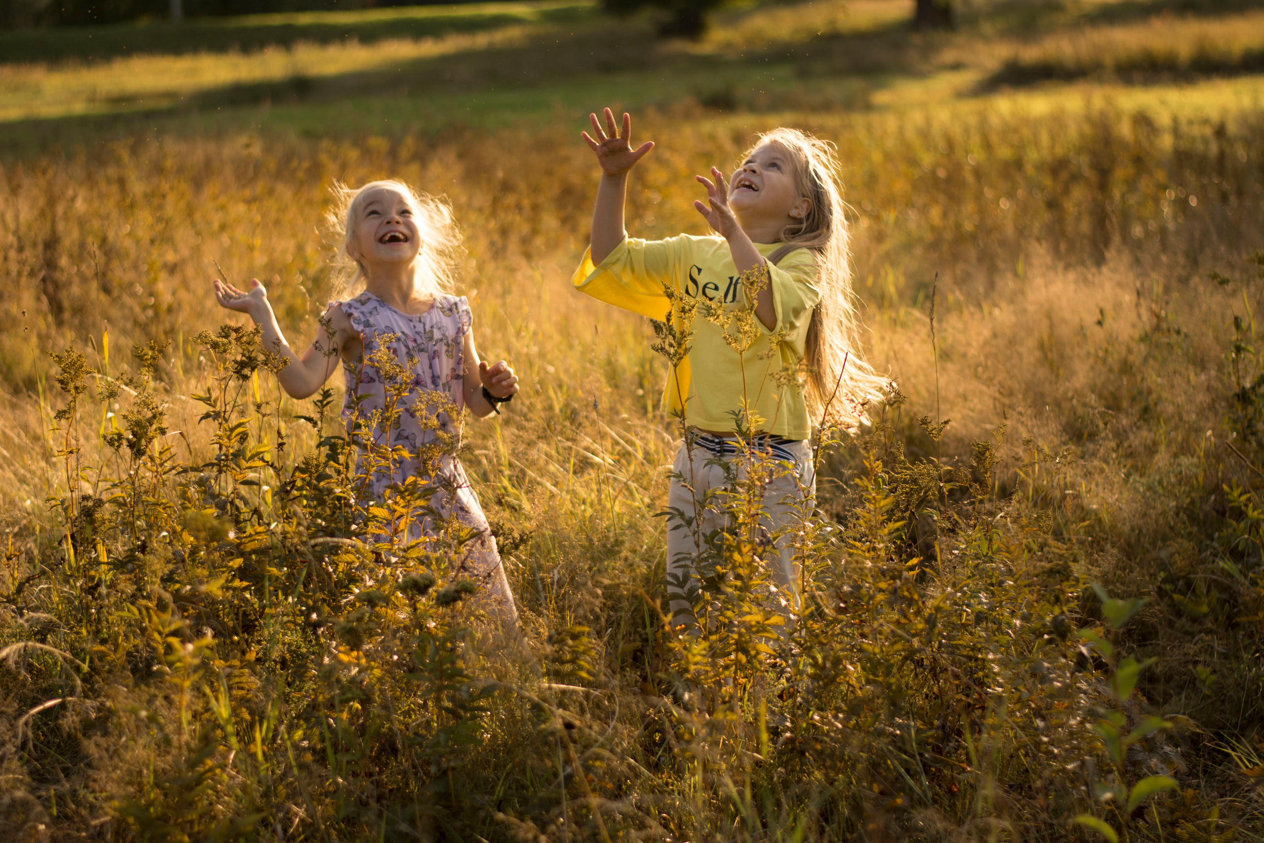 Закат. Детская и семейная фотография. г. Луга, Татьяна Котова