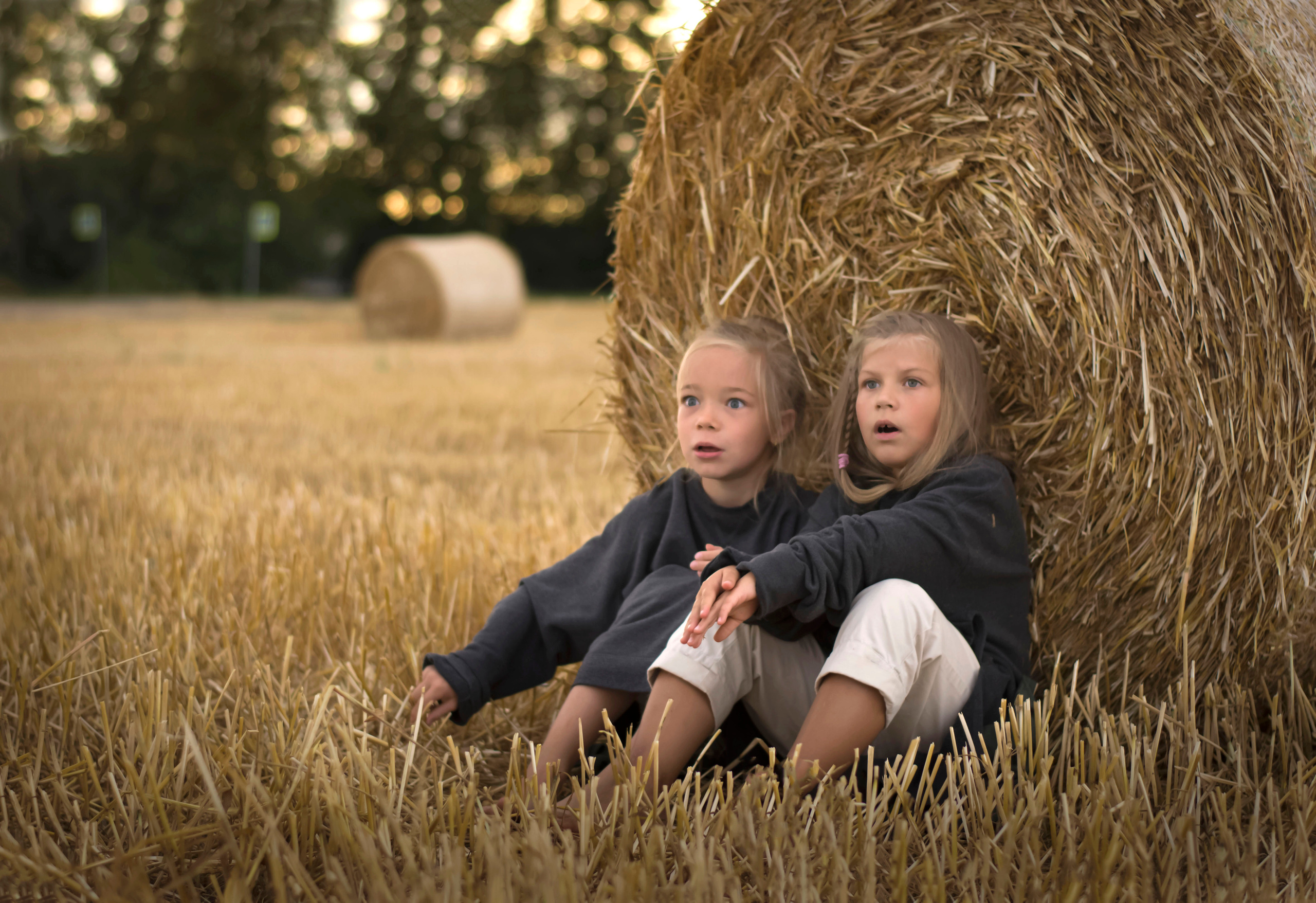 Стог сена. Детская и семейная фотография. г. Луга, Татьяна Котова