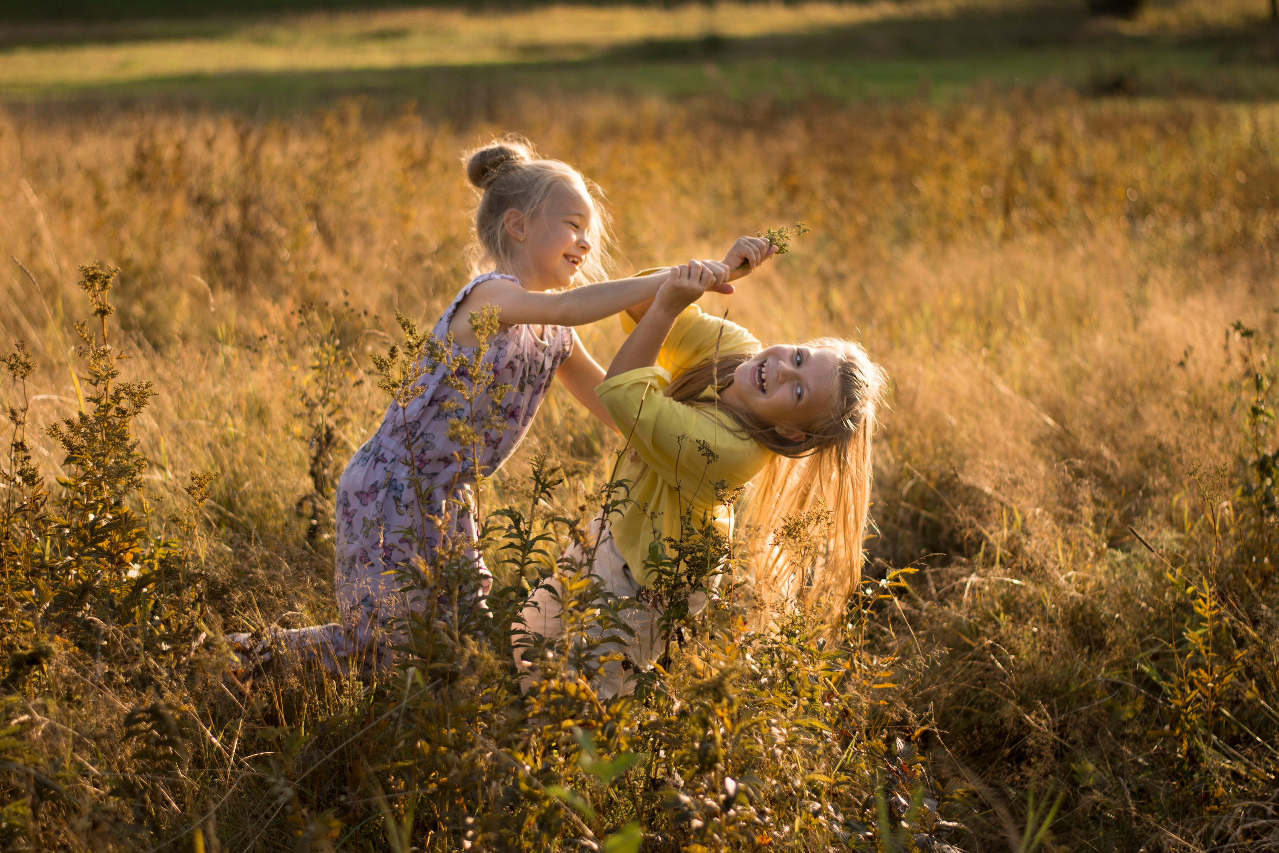 Закат. Детская и семейная фотография. г. Луга, Татьяна Котова