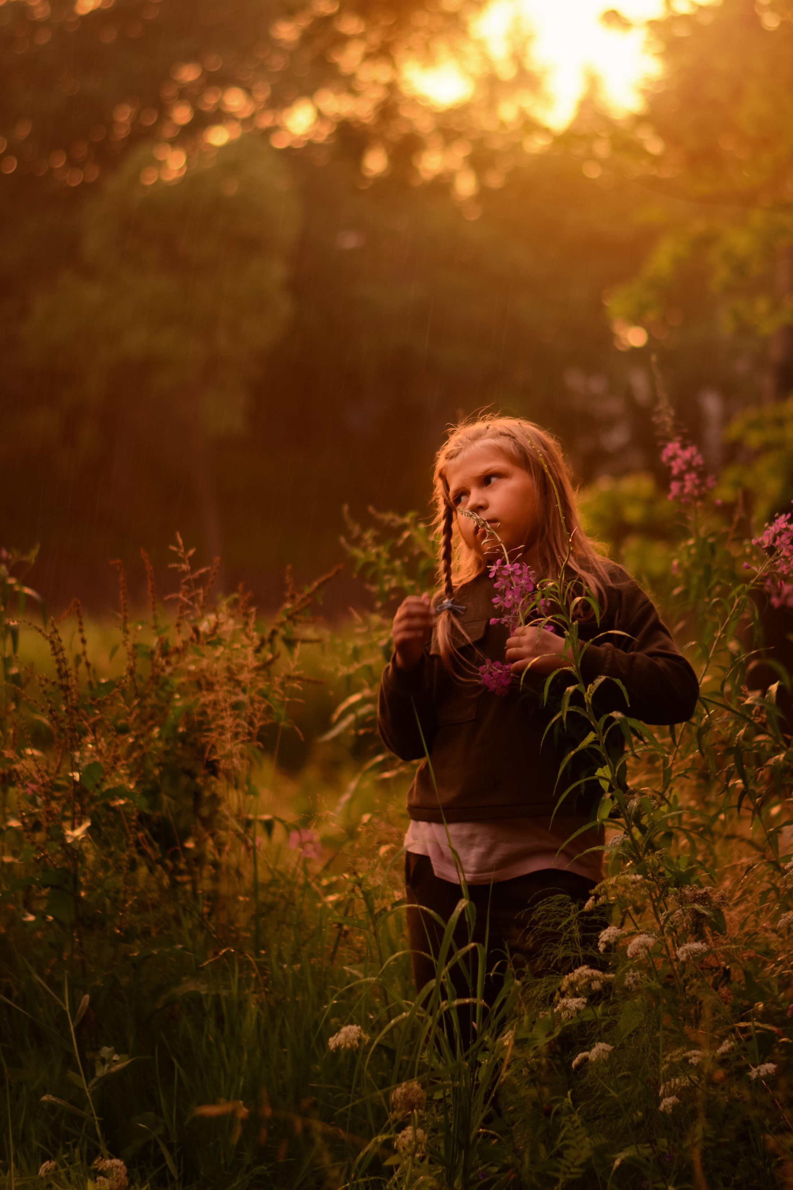 Золотой вечер. Детская и семейная фотография. г. Луга, Татьяна Котова