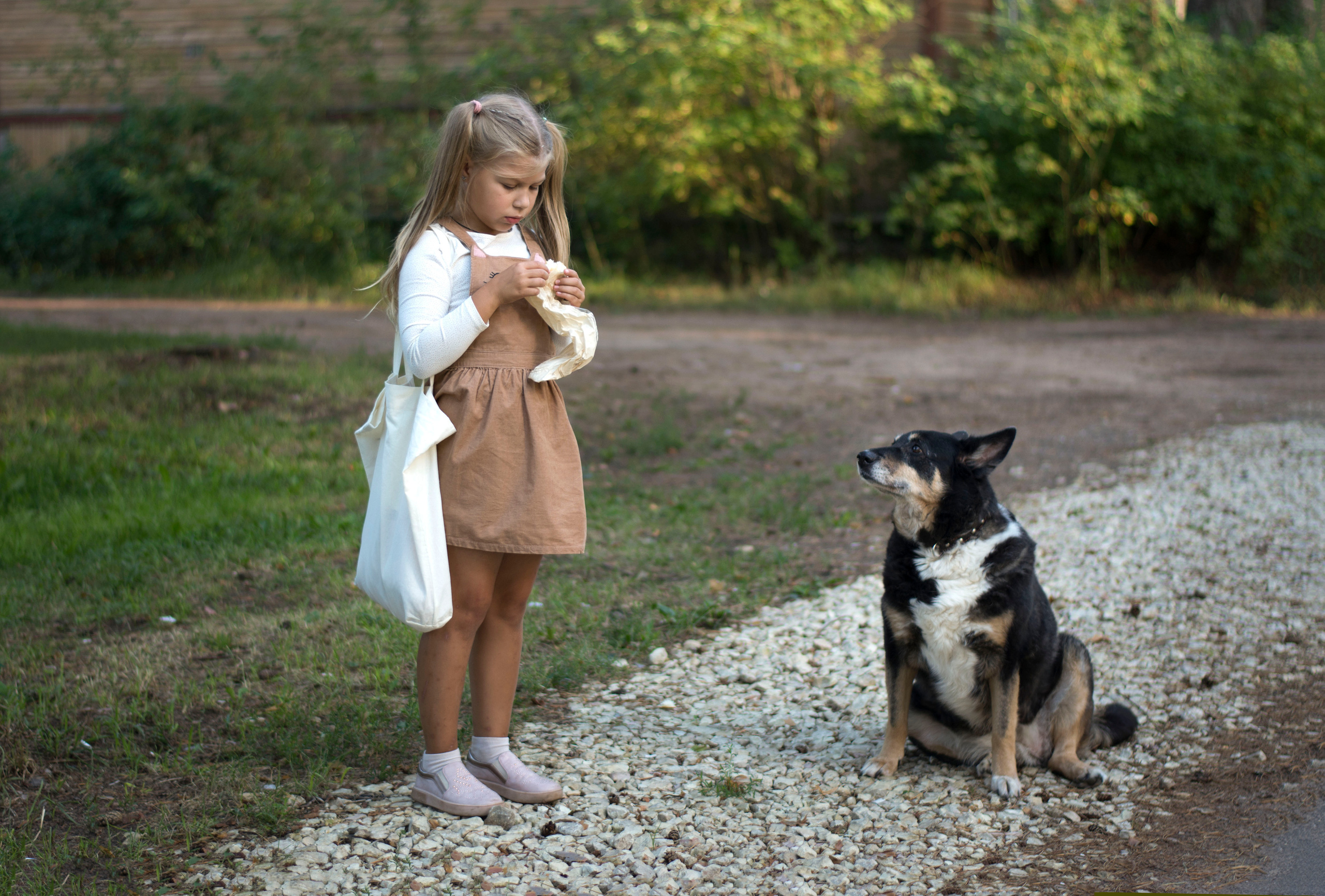 Неожиданная встреча. Детская и семейная фотография. г. Луга, Татьяна Котова