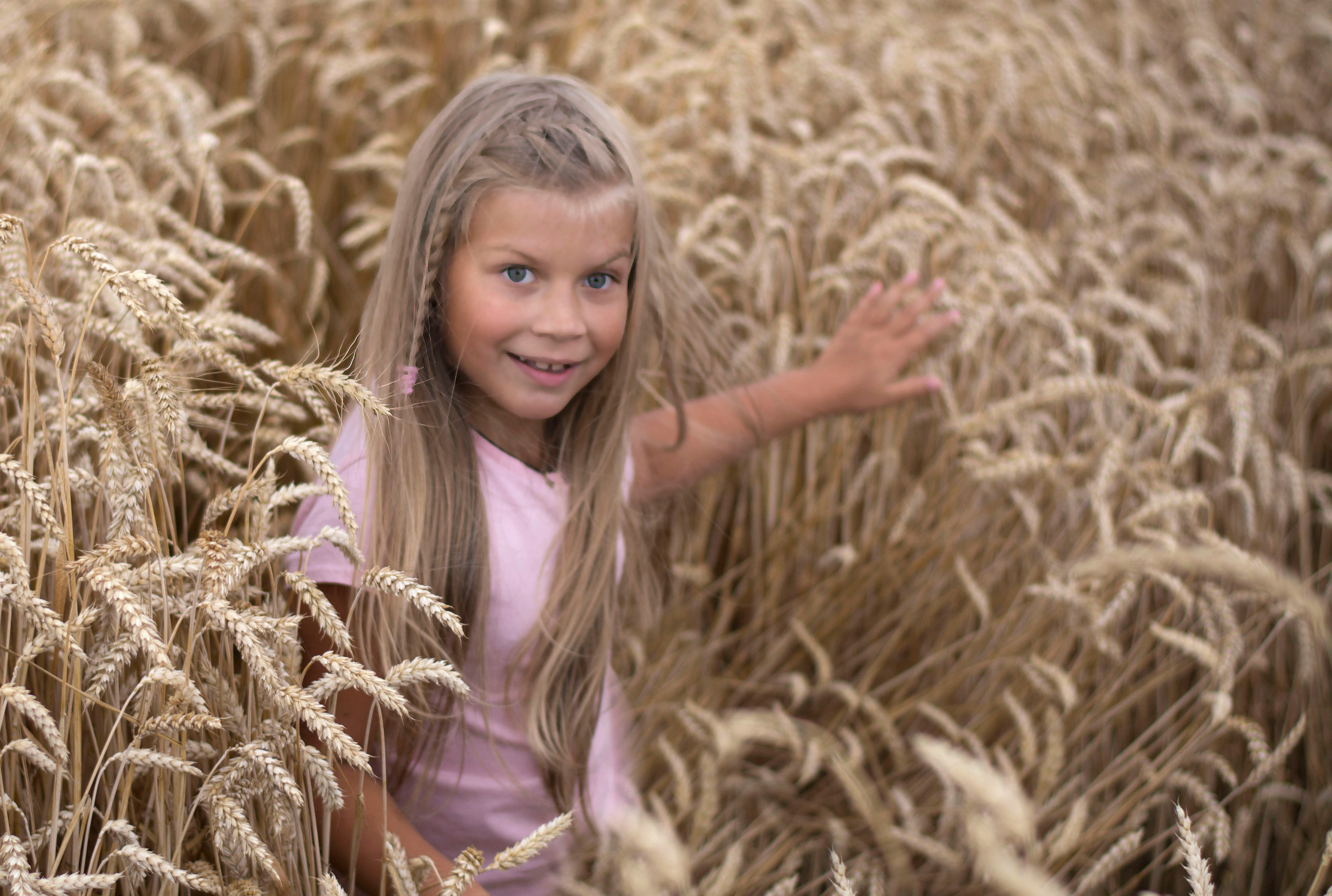 Стог сена. Детская и семейная фотография. г. Луга, Татьяна Котова