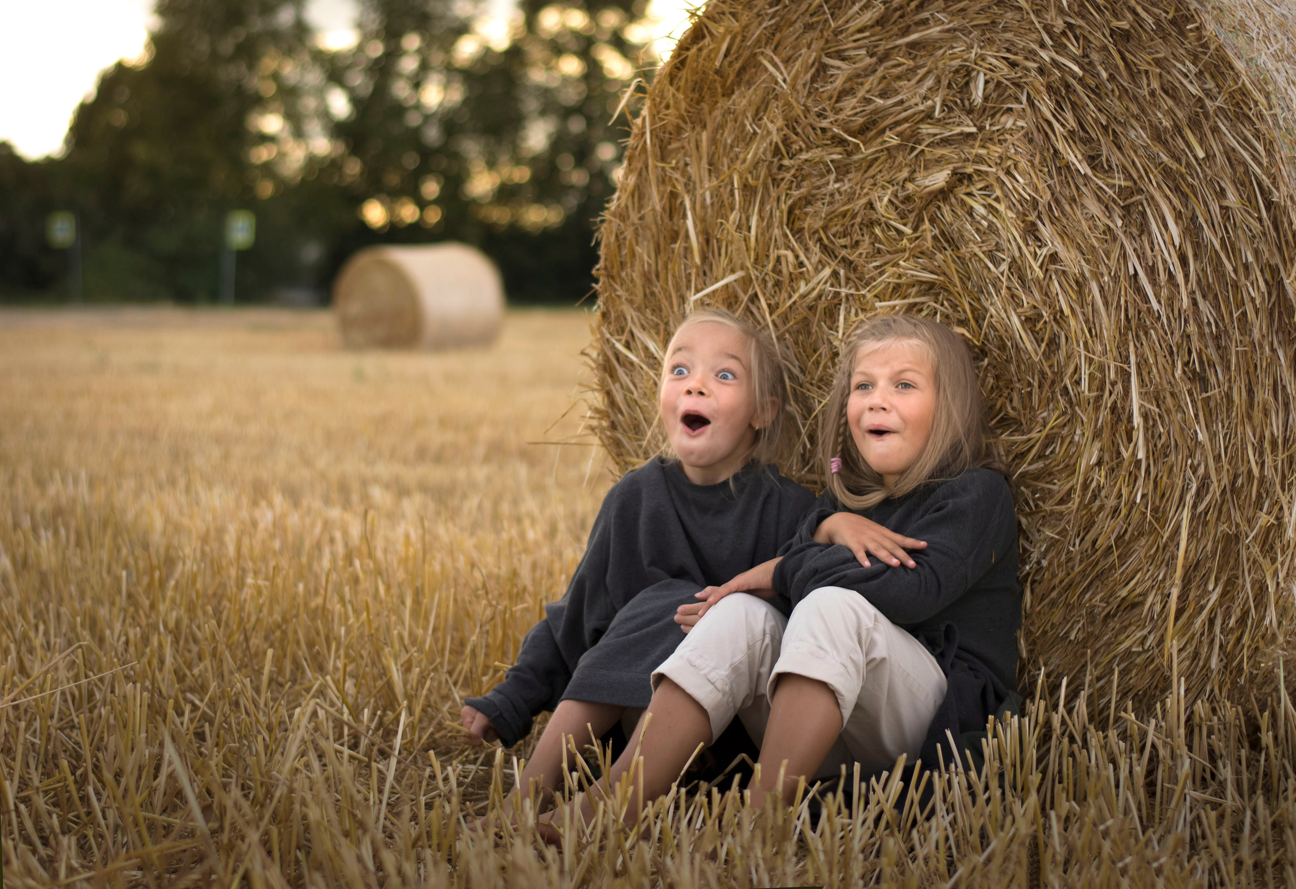 Стог сена. Детская и семейная фотография. г. Луга, Татьяна Котова