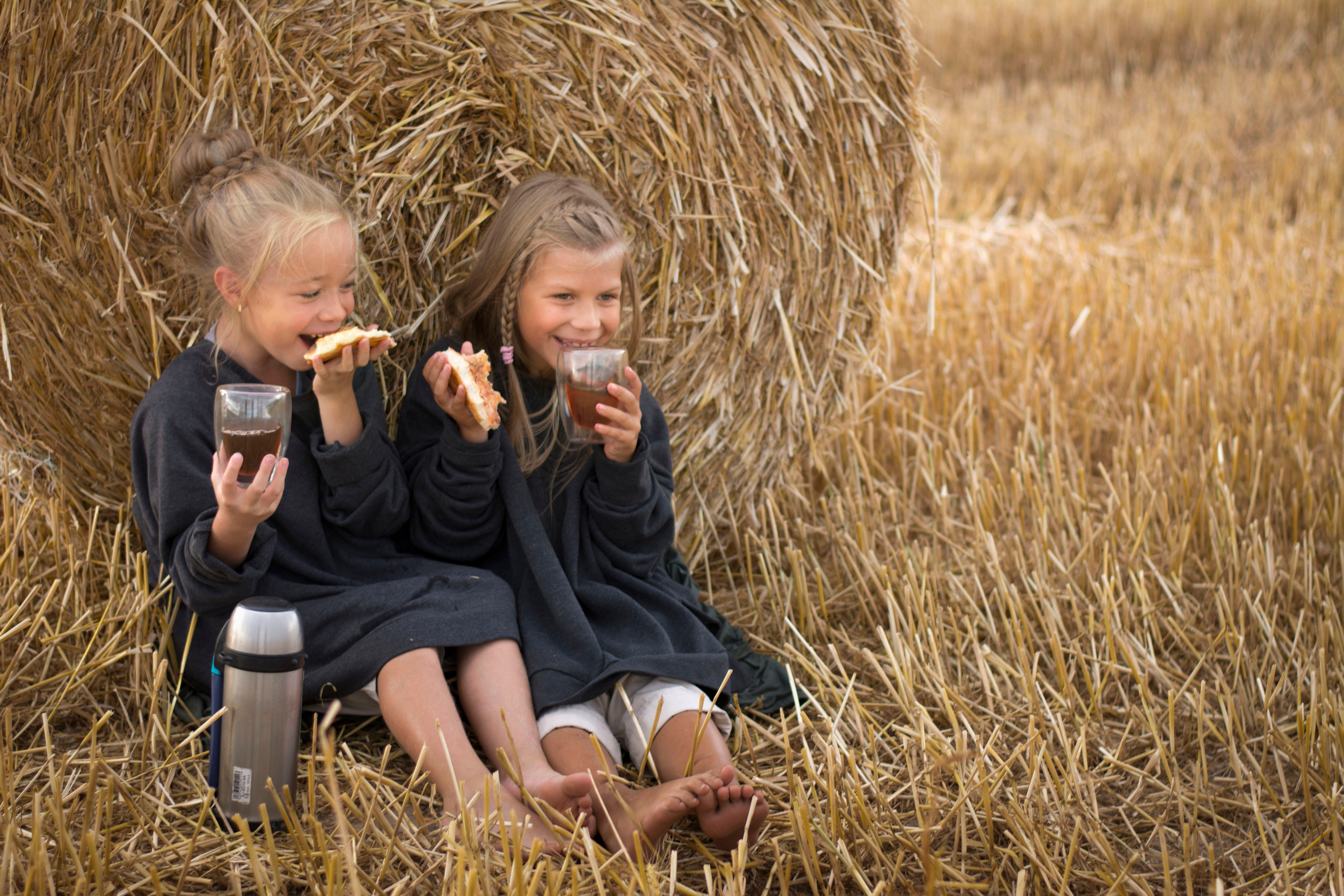 Стог сена. Детская и семейная фотография. г. Луга, Татьяна Котова
