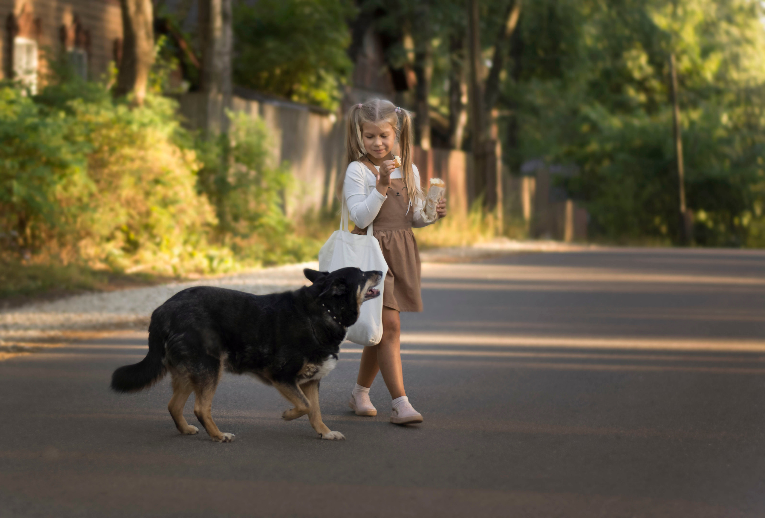 Неожиданная встреча. Детская и семейная фотография. г. Луга, Татьяна Котова