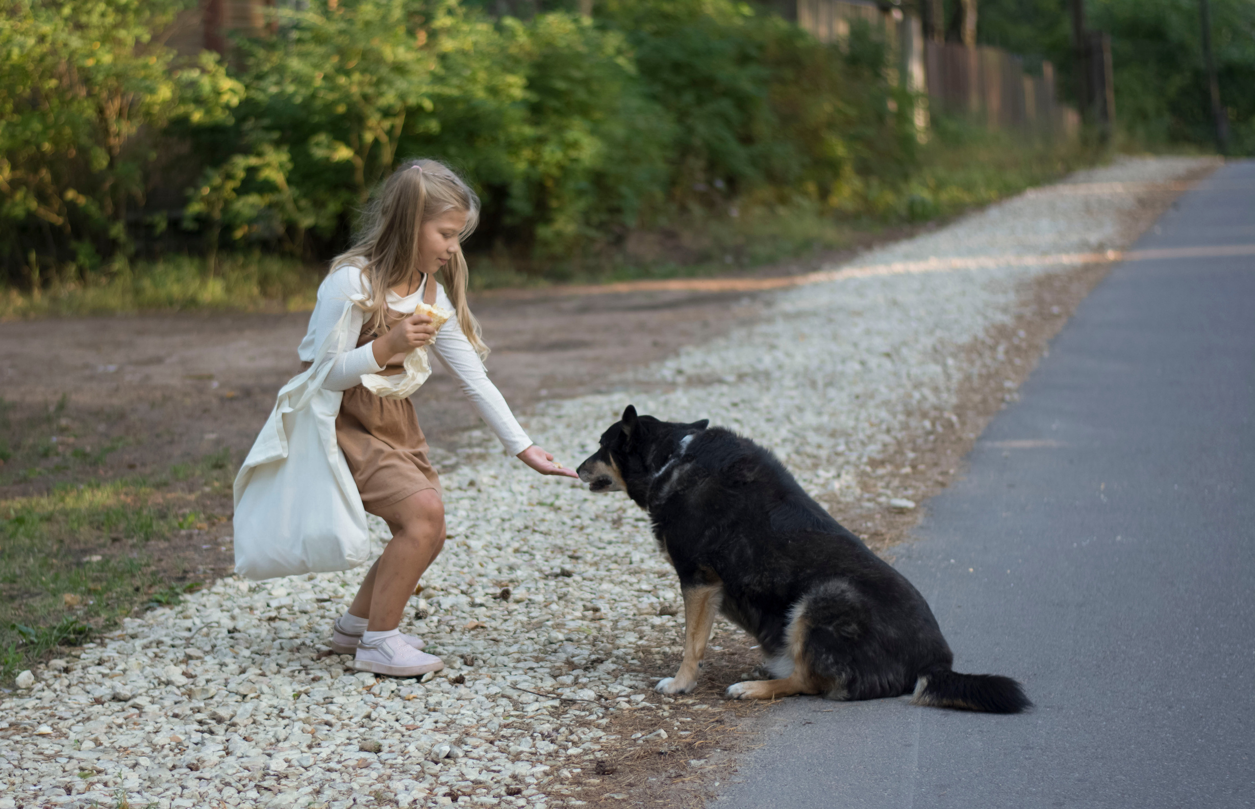 Неожиданная встреча. Детская и семейная фотография. г. Луга, Татьяна Котова