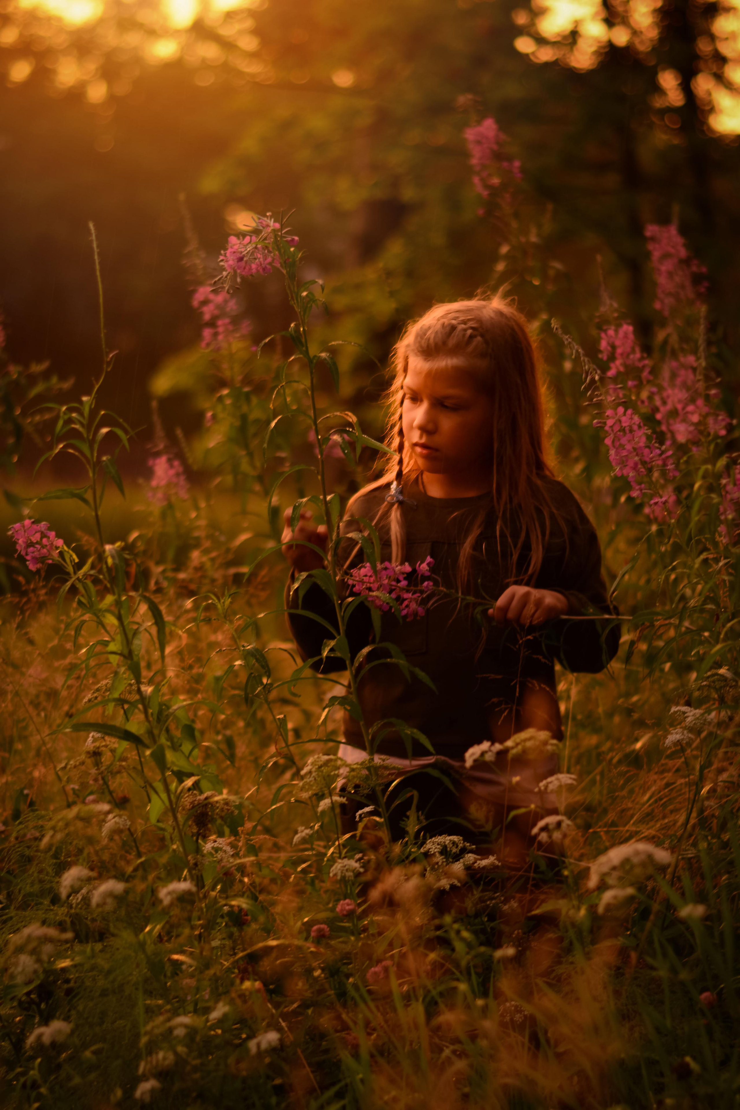 Золотой вечер. Детская и семейная фотография. г. Луга, Татьяна Котова