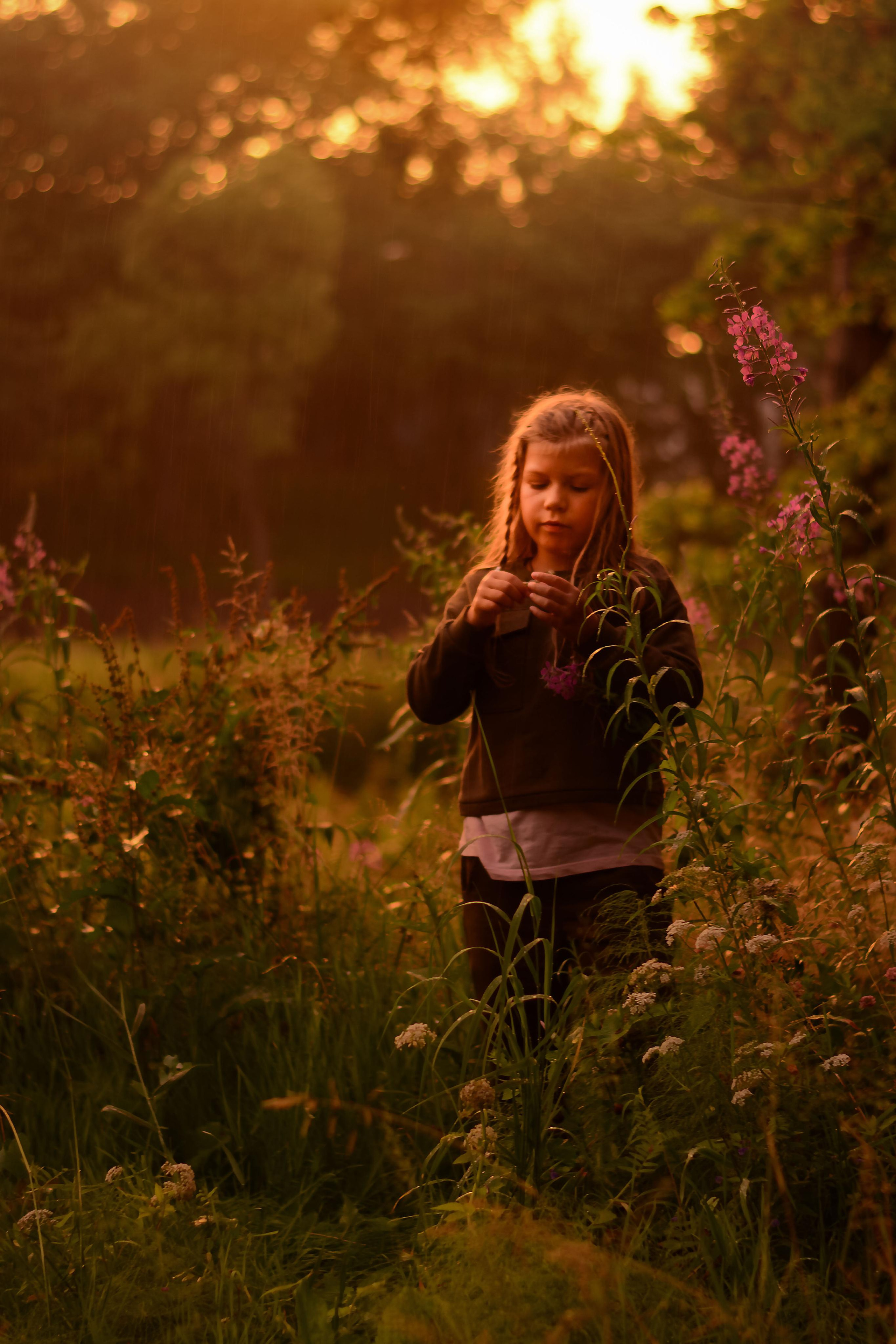 Золотой вечер. Детская и семейная фотография. г. Луга, Татьяна Котова