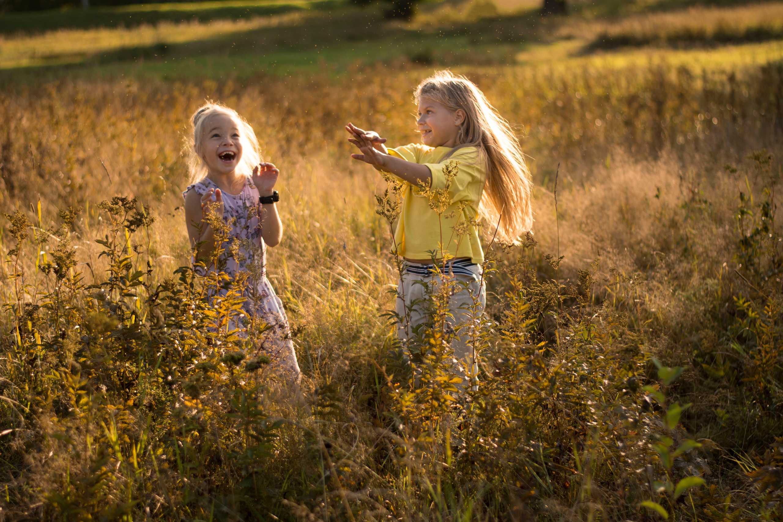 Закат. Детская и семейная фотография. г. Луга, Татьяна Котова