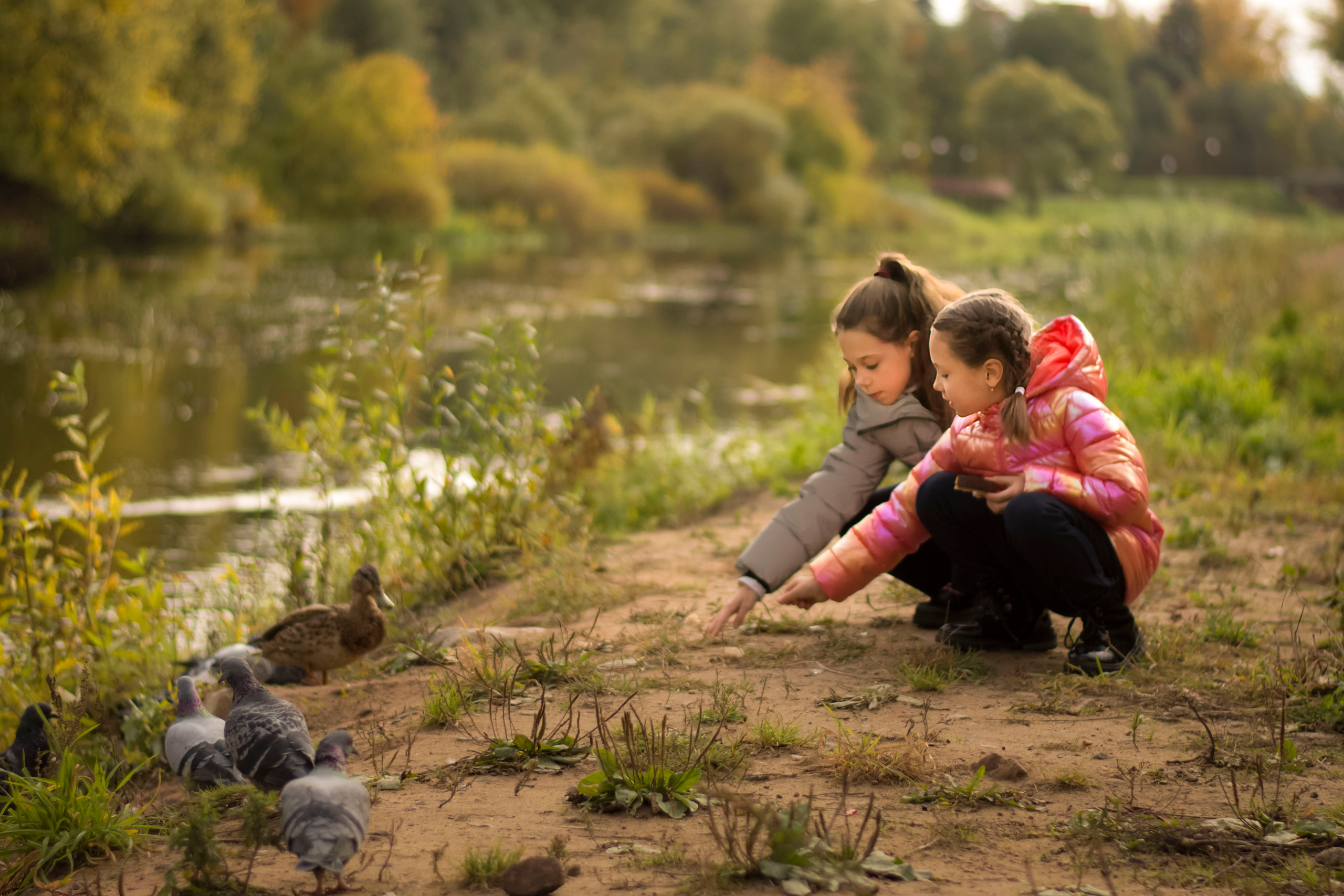 Сентябрь. Сестры. Детская и семейная фотография. г. Луга, Татьяна Котова