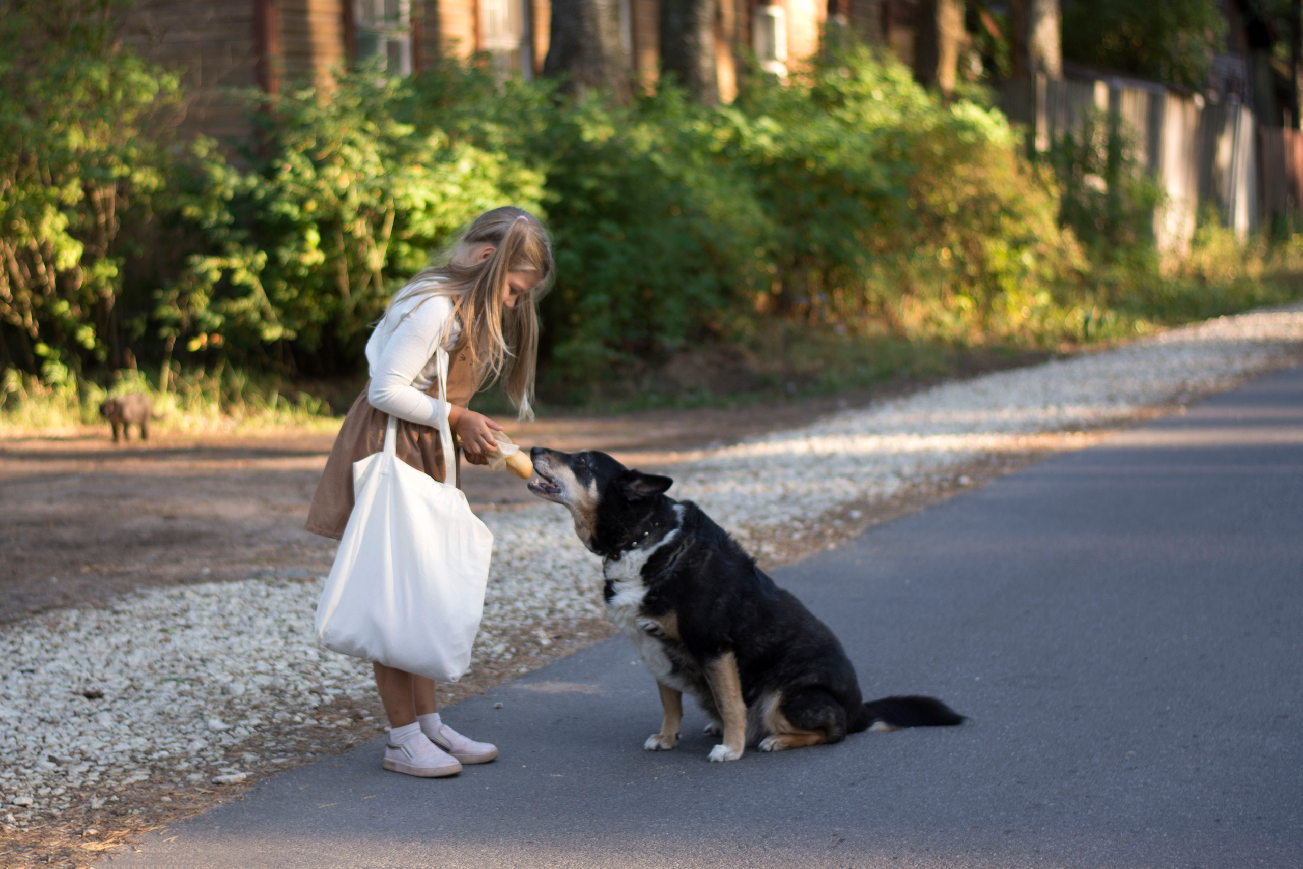 Неожиданная встреча. Детская и семейная фотография. г. Луга, Татьяна Котова