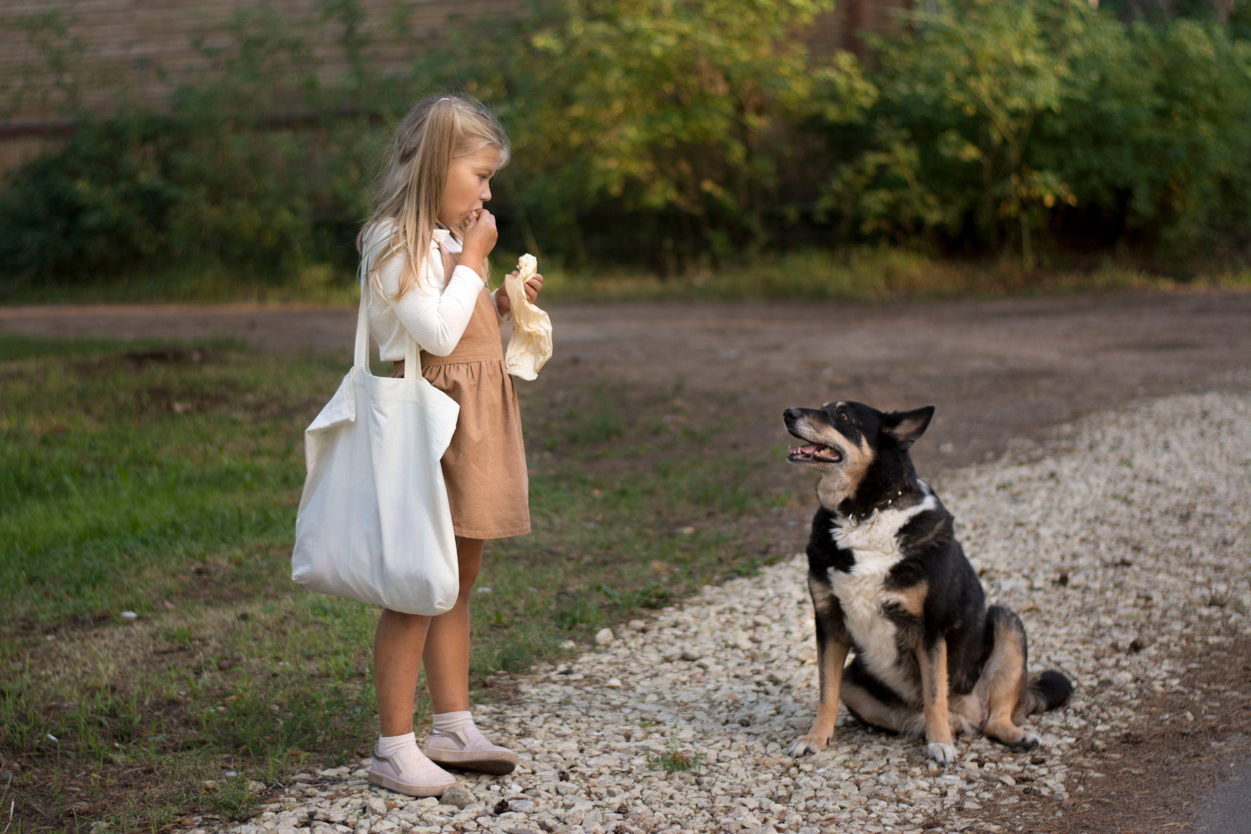 Неожиданная встреча. Детская и семейная фотография. г. Луга, Татьяна Котова