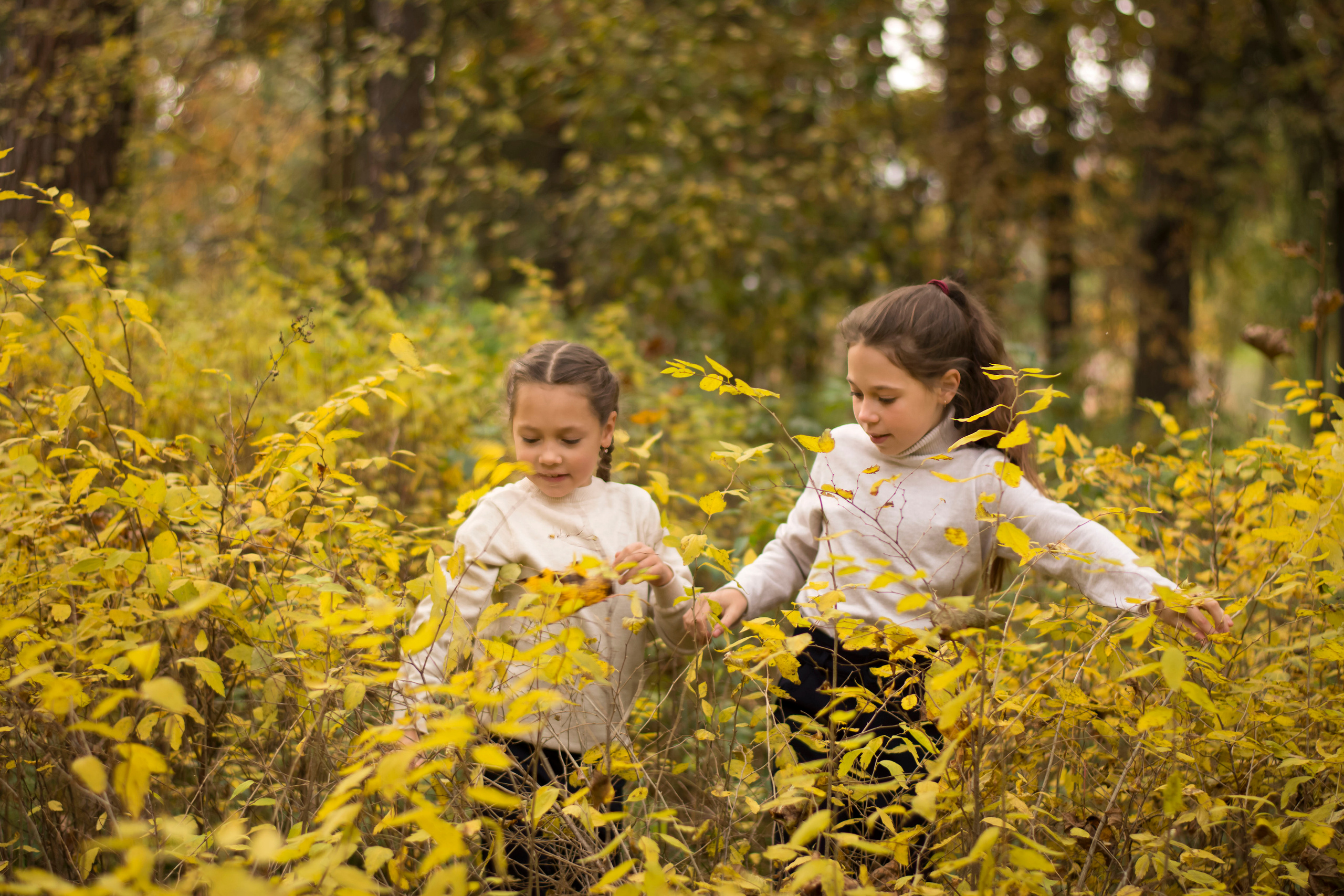 Сентябрь. Сестры. Детская и семейная фотография. г. Луга, Татьяна Котова