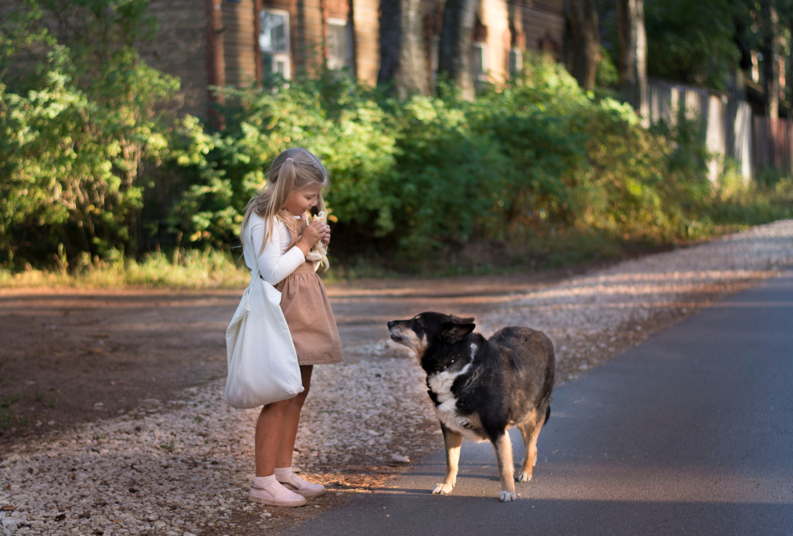 Неожиданная встреча. Детская и семейная фотография. г. Луга, Татьяна Котова