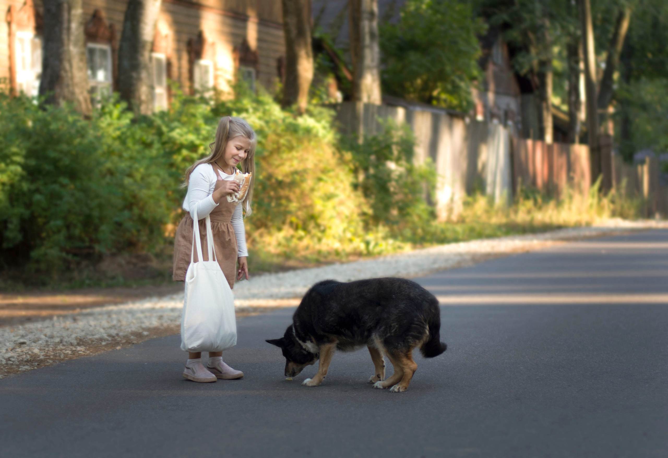 Неожиданная встреча. Детская и семейная фотография. г. Луга, Татьяна Котова