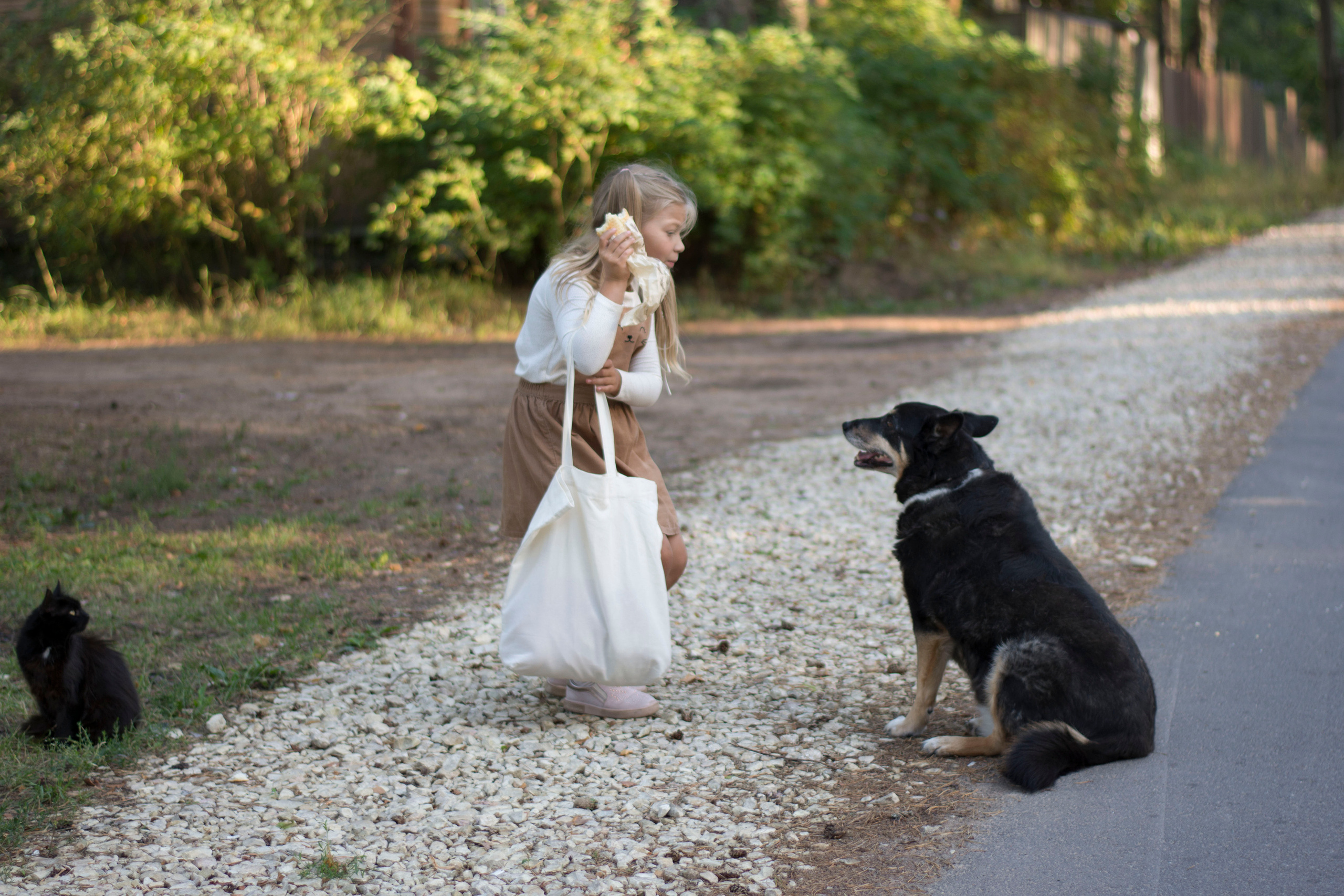 Неожиданная встреча. Детская и семейная фотография. г. Луга, Татьяна Котова