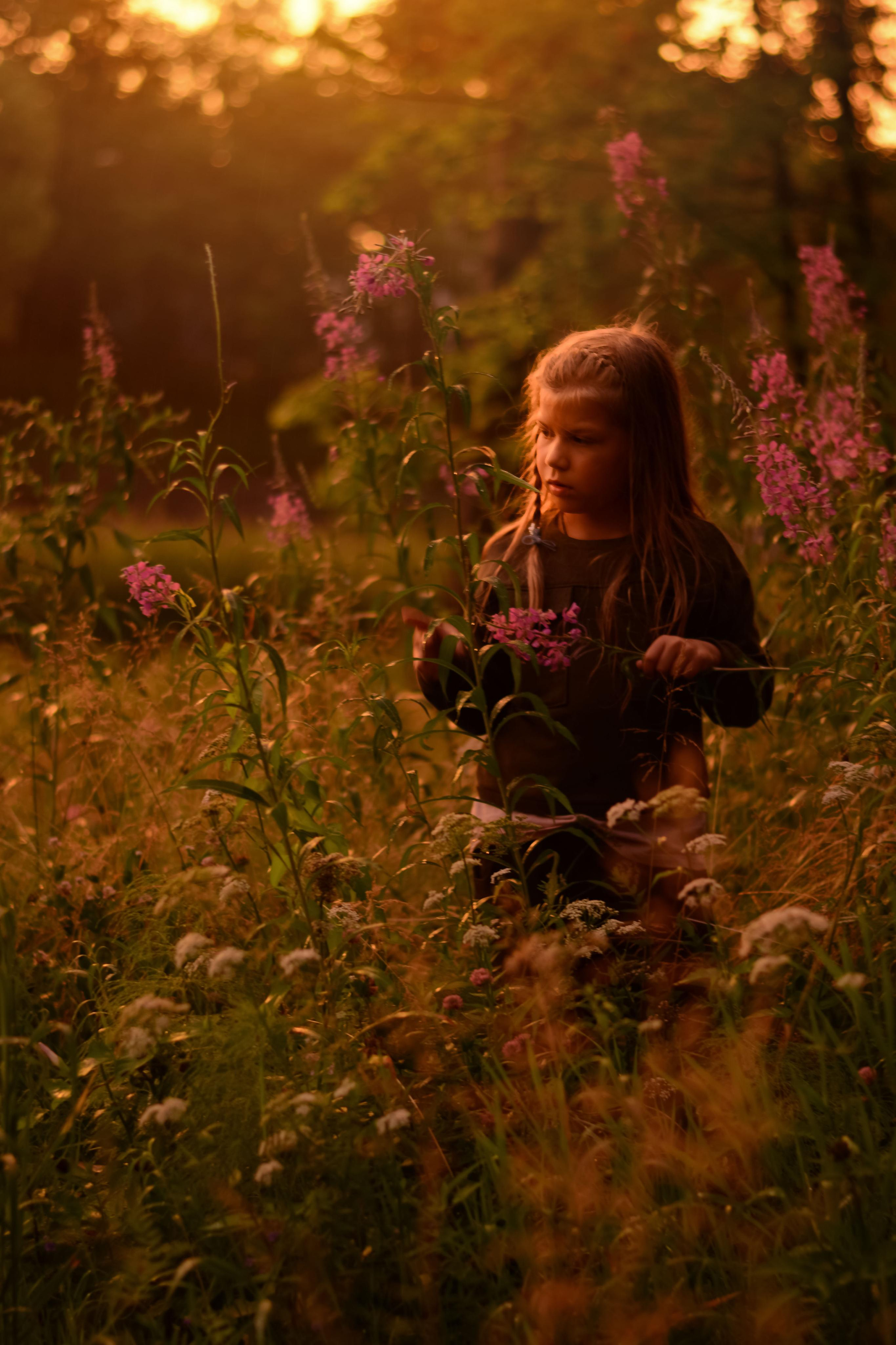 Золотой вечер. Детская и семейная фотография. г. Луга, Татьяна Котова