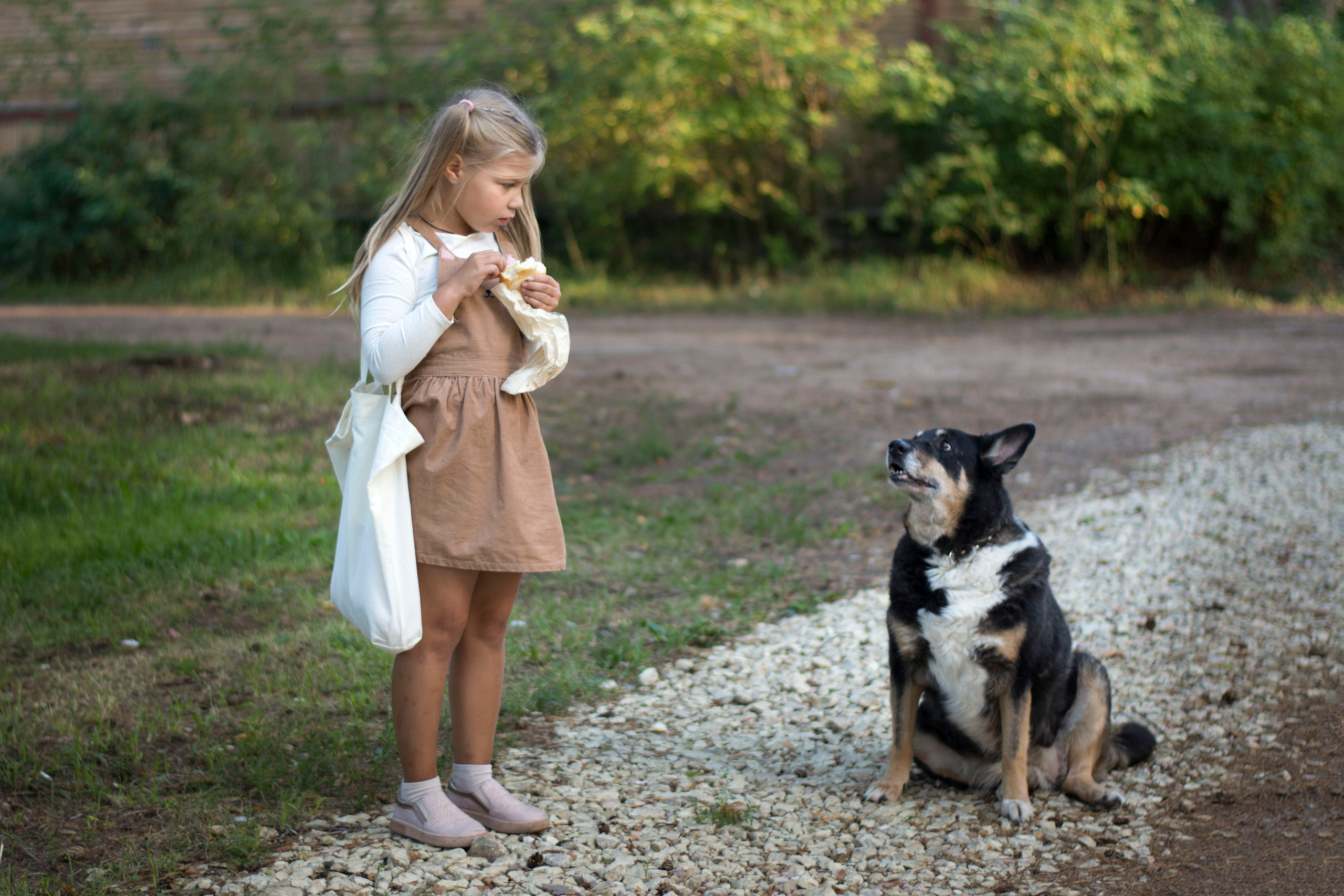 Неожиданная встреча. Детская и семейная фотография. г. Луга, Татьяна Котова
