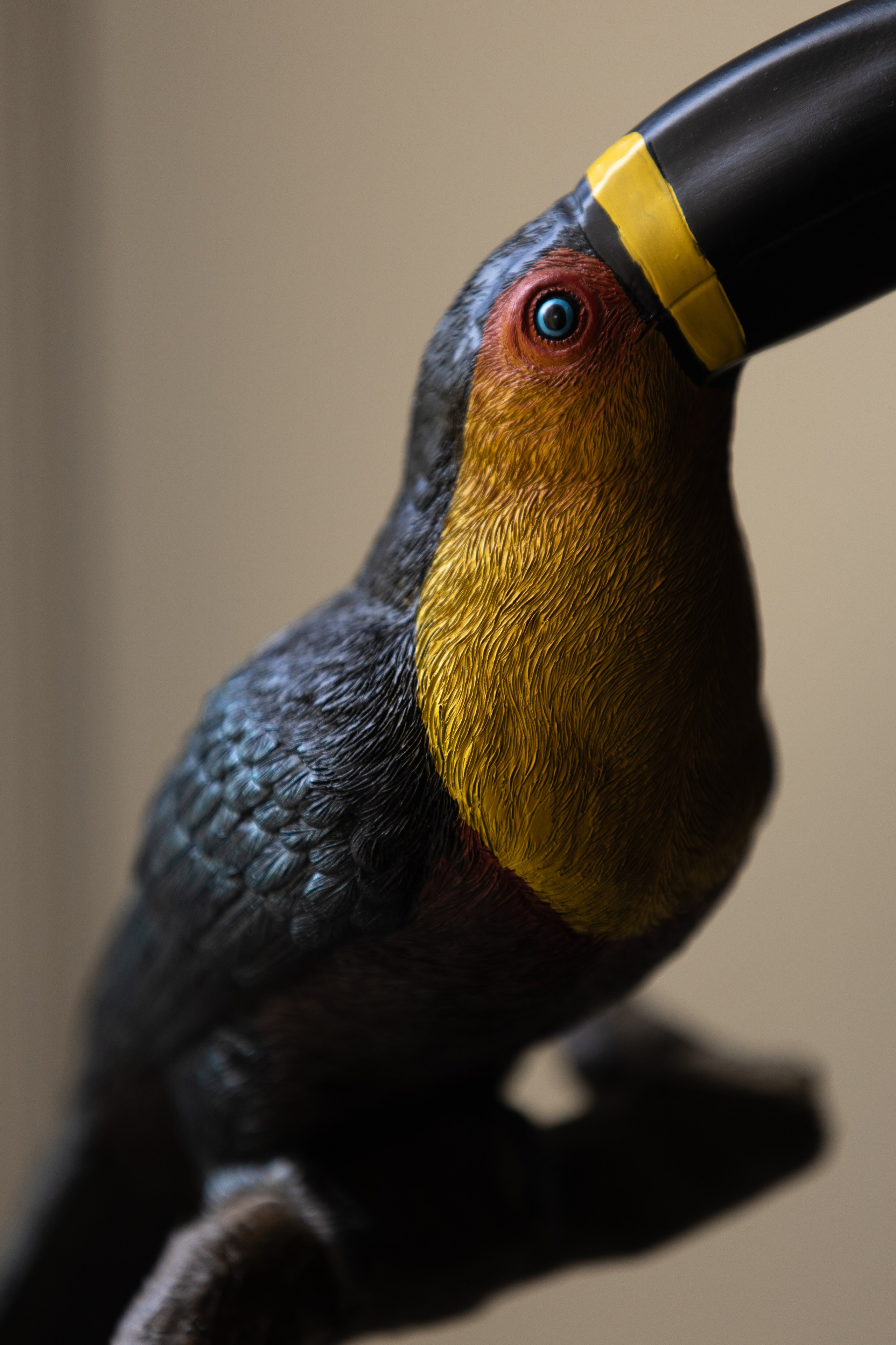 G&P. Фотограф Таганрог Хребет София