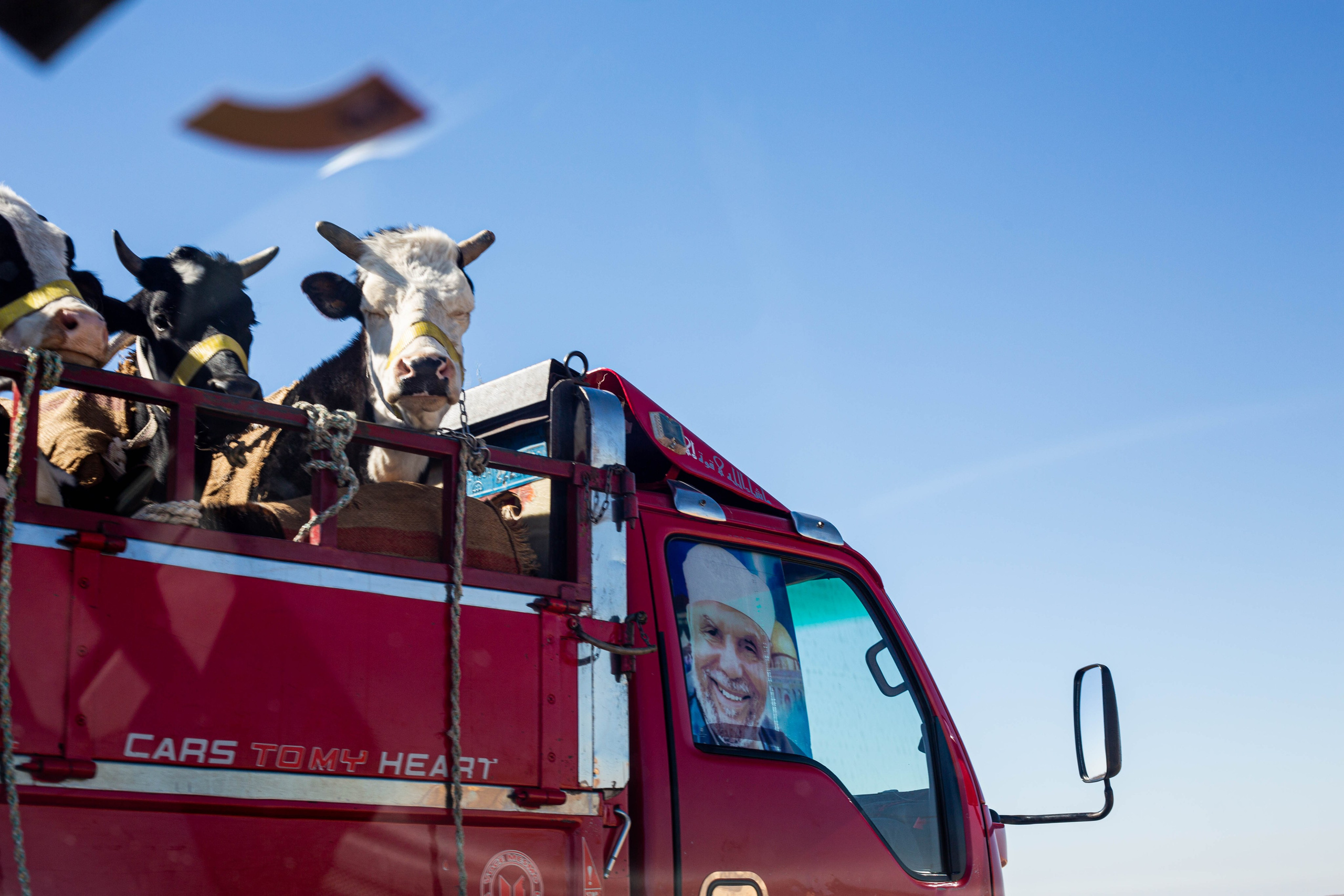 Египет. Репортажный фотограф в Москве Зуйко Оксана