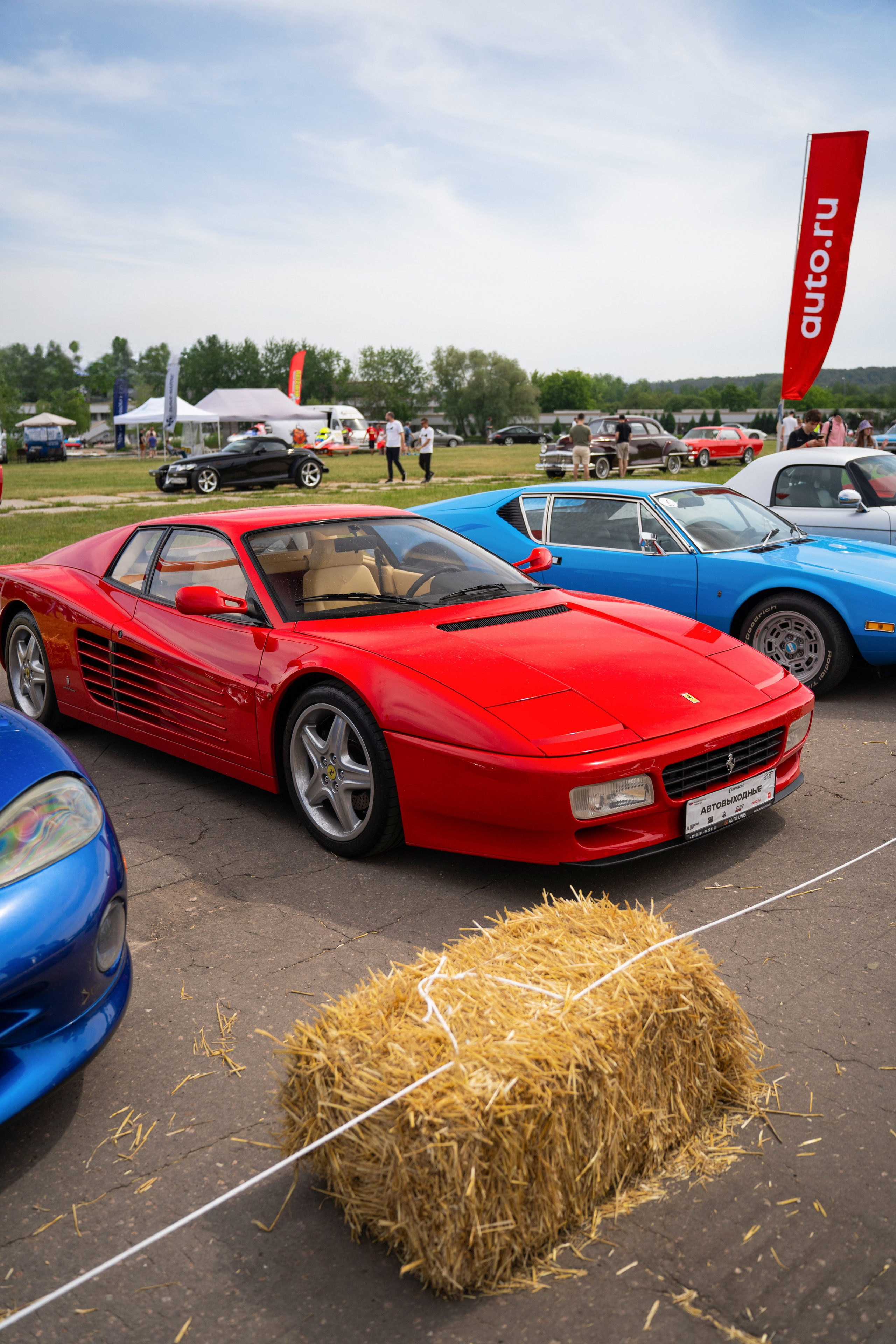 Автовыходные на Гребном канале 2024. Фотограф в Москве Ксения Насокина