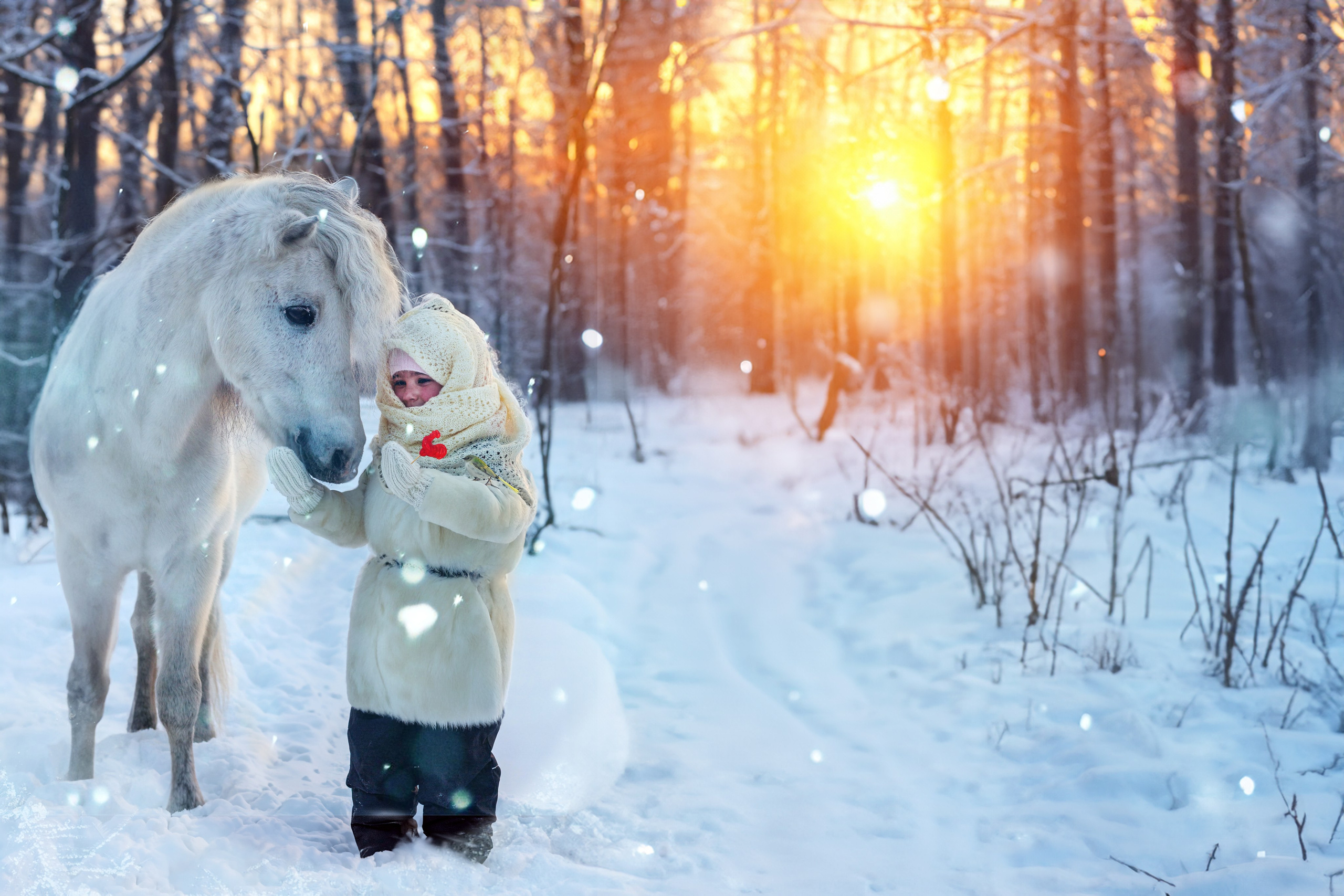 Пони и дети. Конный фотограф в Красноярске — Любовь Похабова