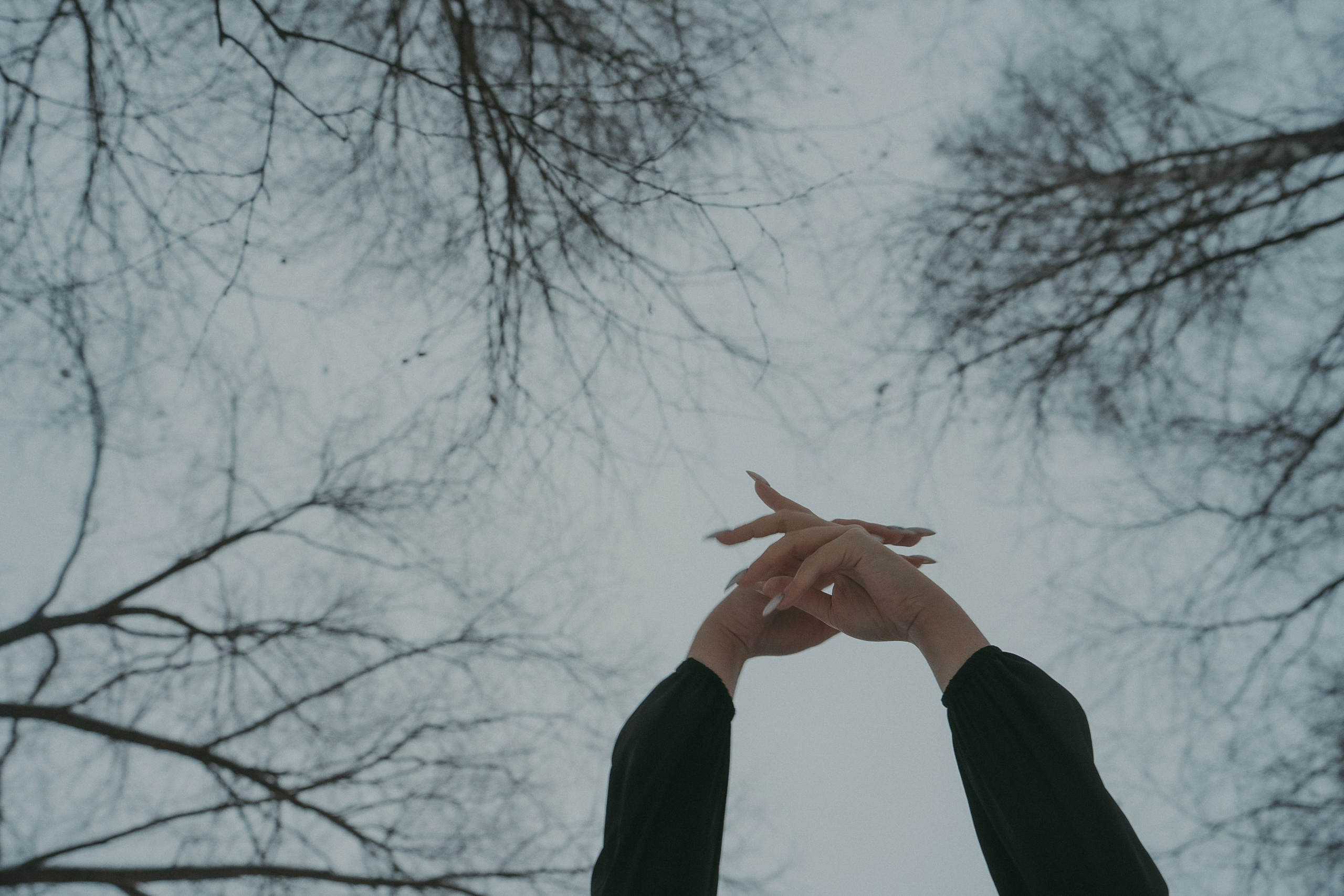 Альбина и Амелия. Фотограф анималист в Москве и Санкт-Петербурге Свиридова Анна