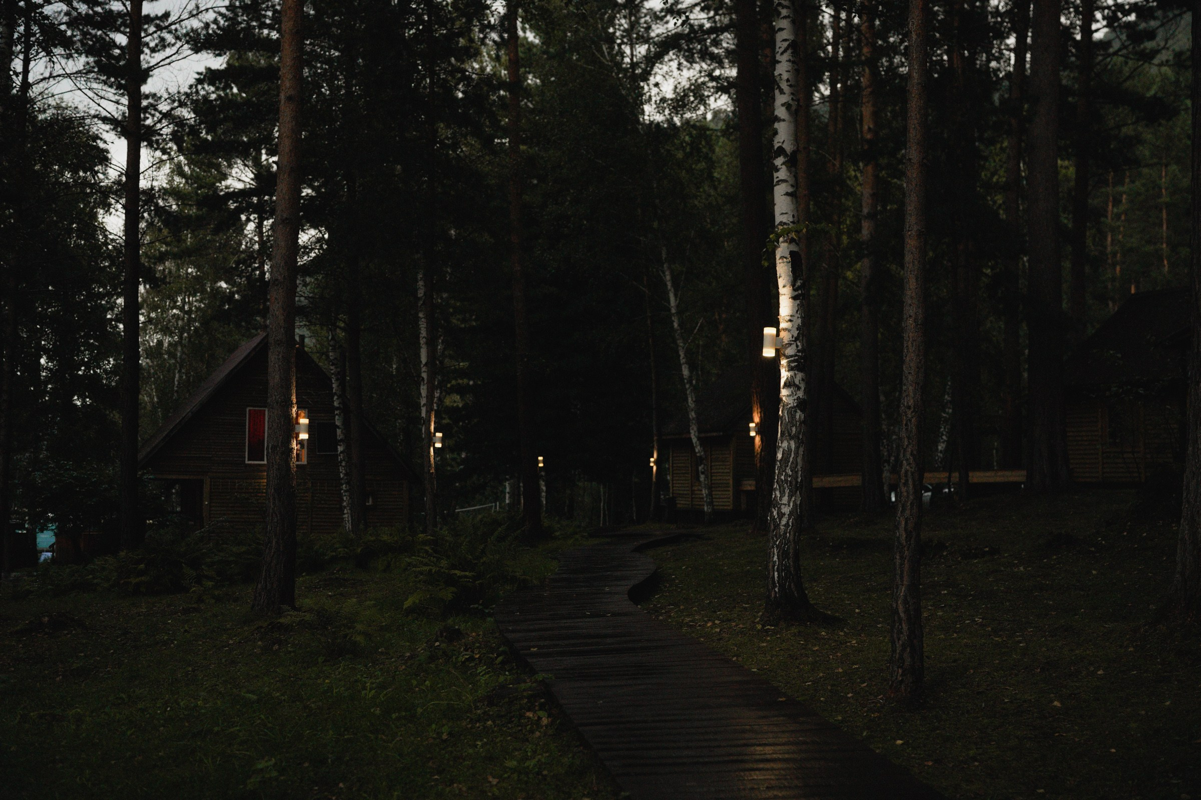Я буду всегда с тобой…. Свадебный и семейный фотограф в Абакане Василевский Алексей