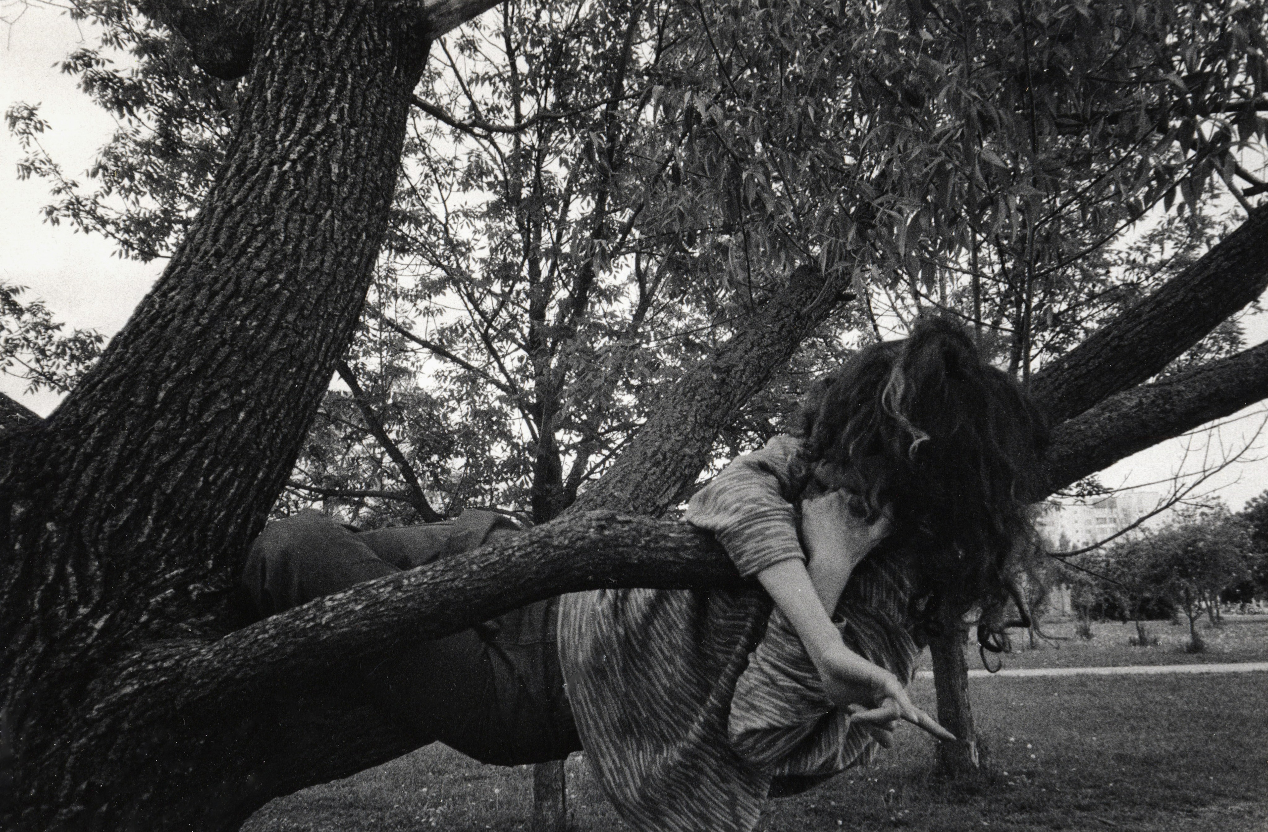 Prints. Maria Abdullaeva