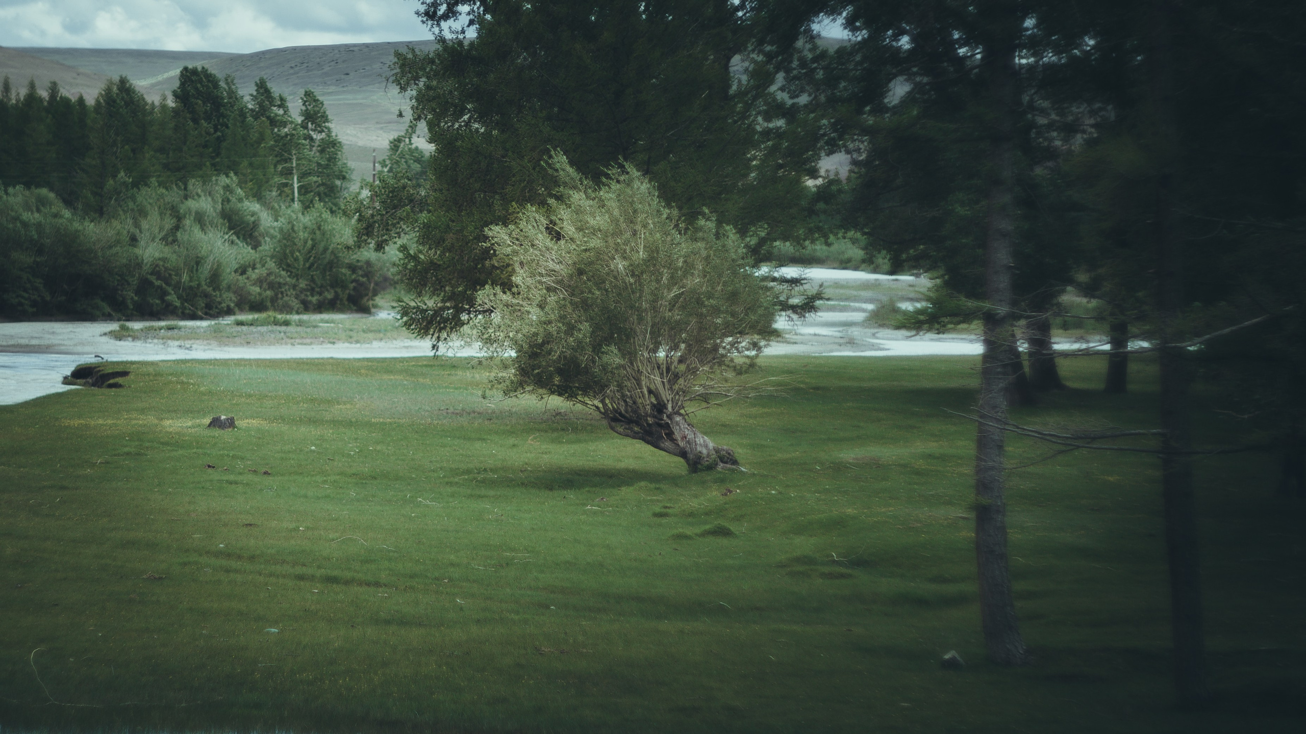 Пейзажное фото. Ню Фотограф Александр Касымов Москва, фотосессии, Химки фотограф