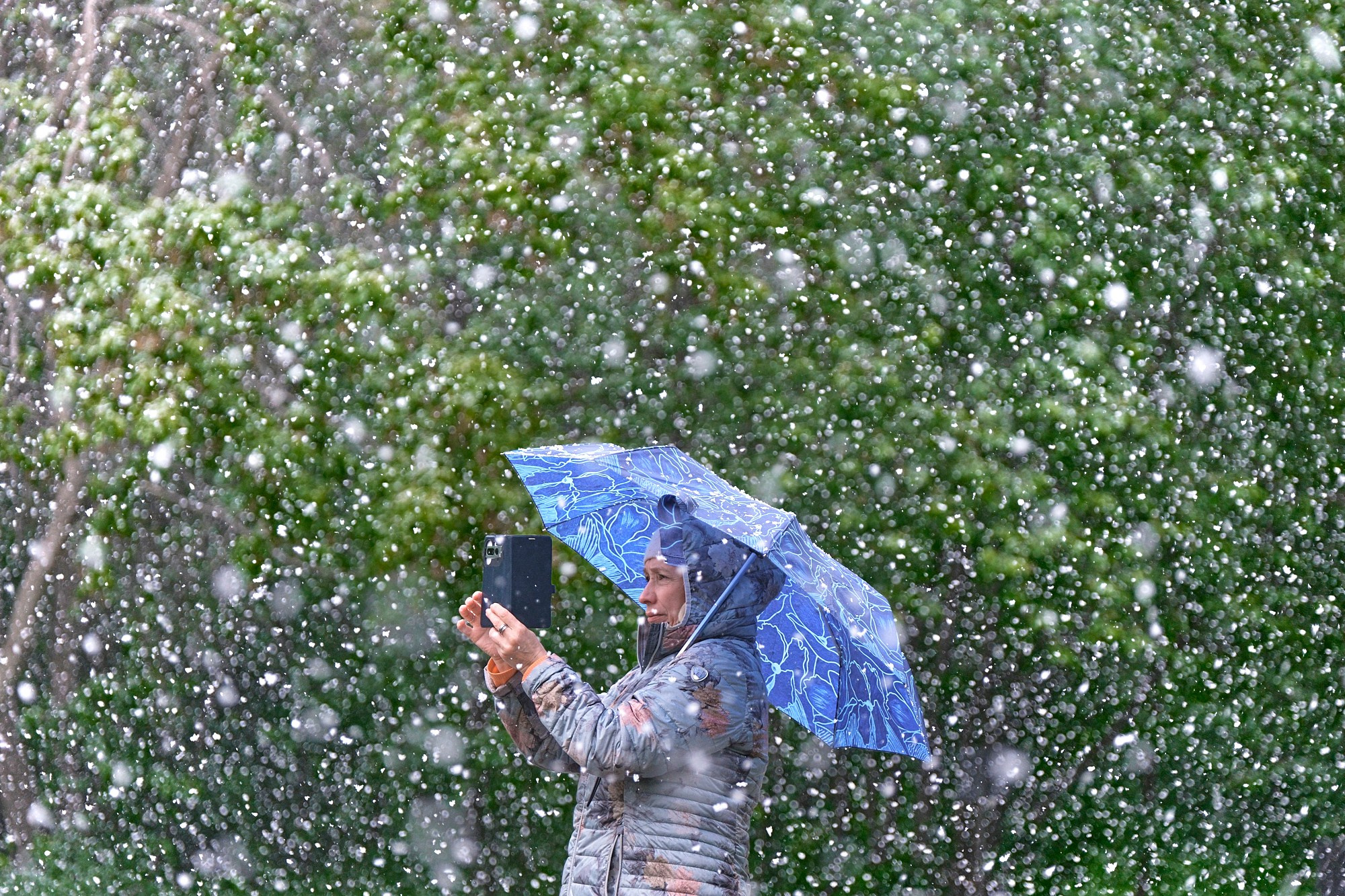 Никита Гольцов фотограф