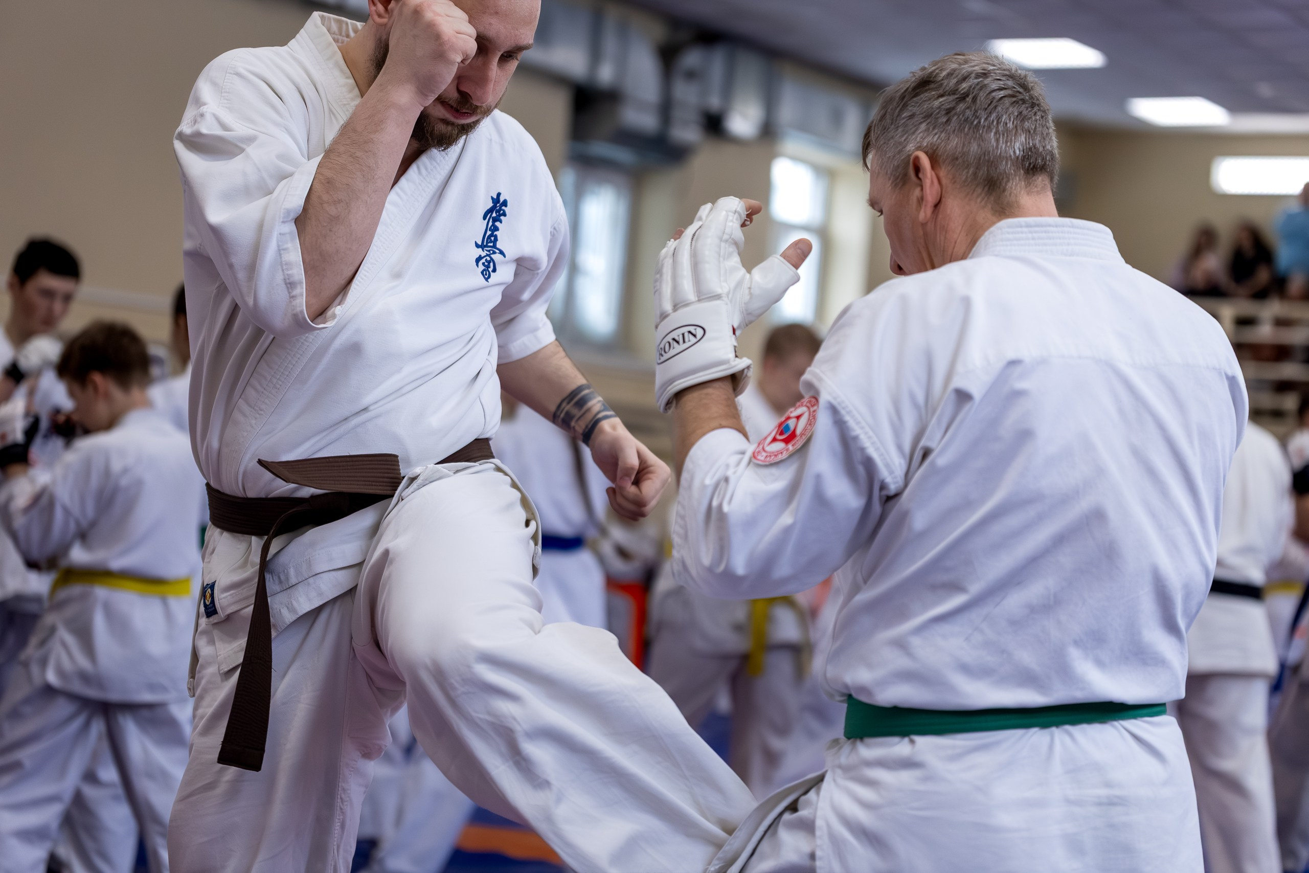 Открытый урок по карате февраль 2026. Главная