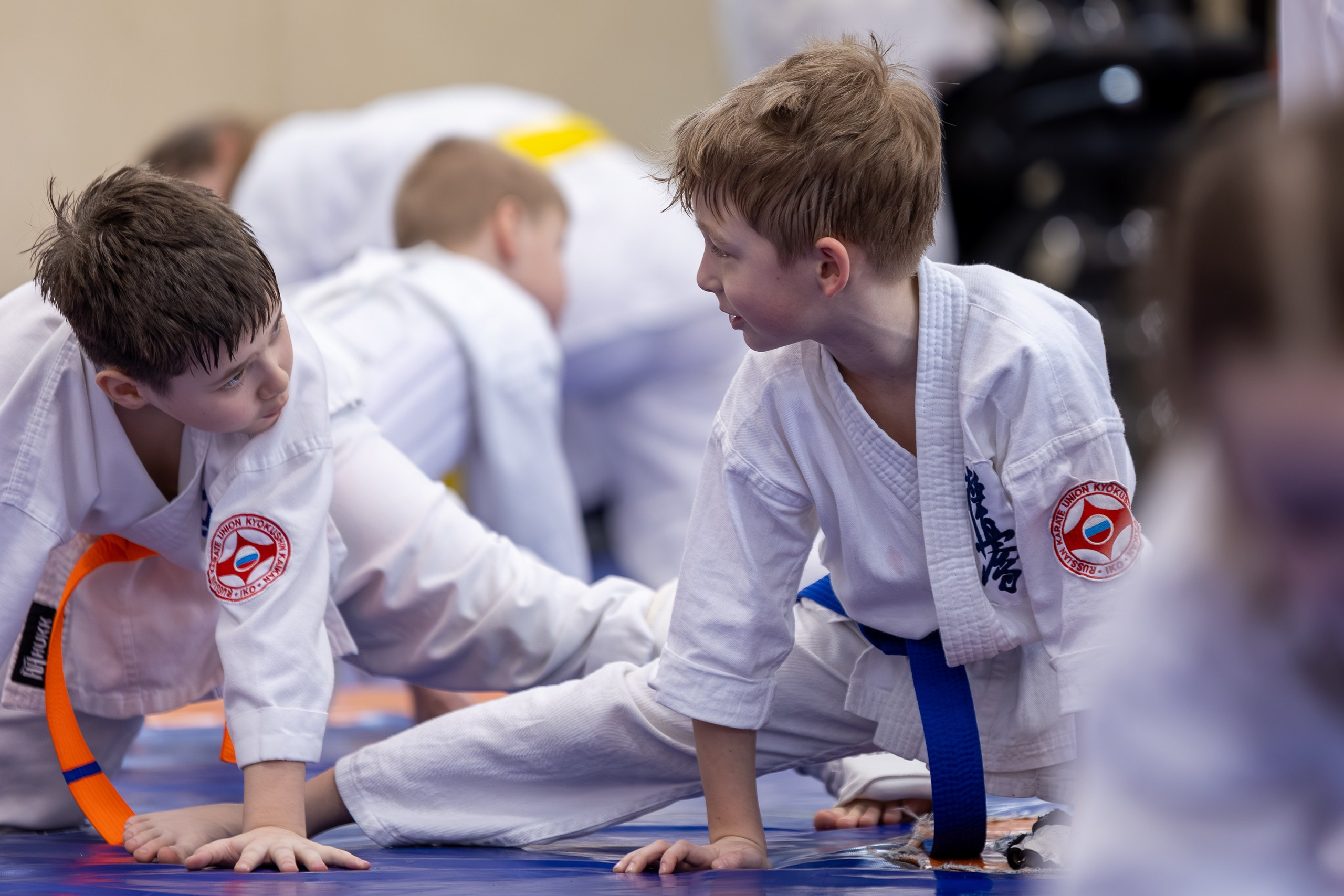 Открытый урок по карате февраль 2026. Главная