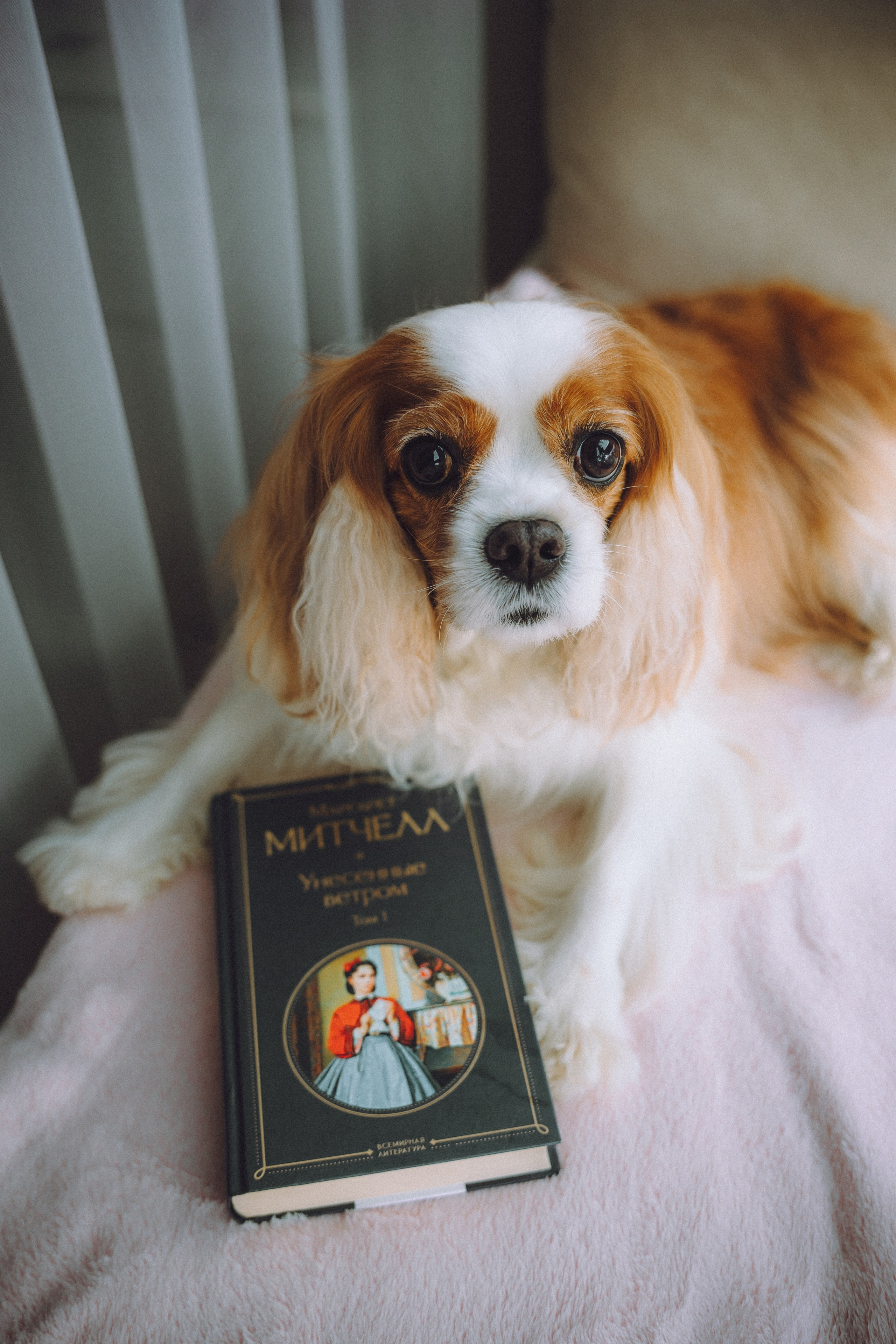 Наташа и Вики