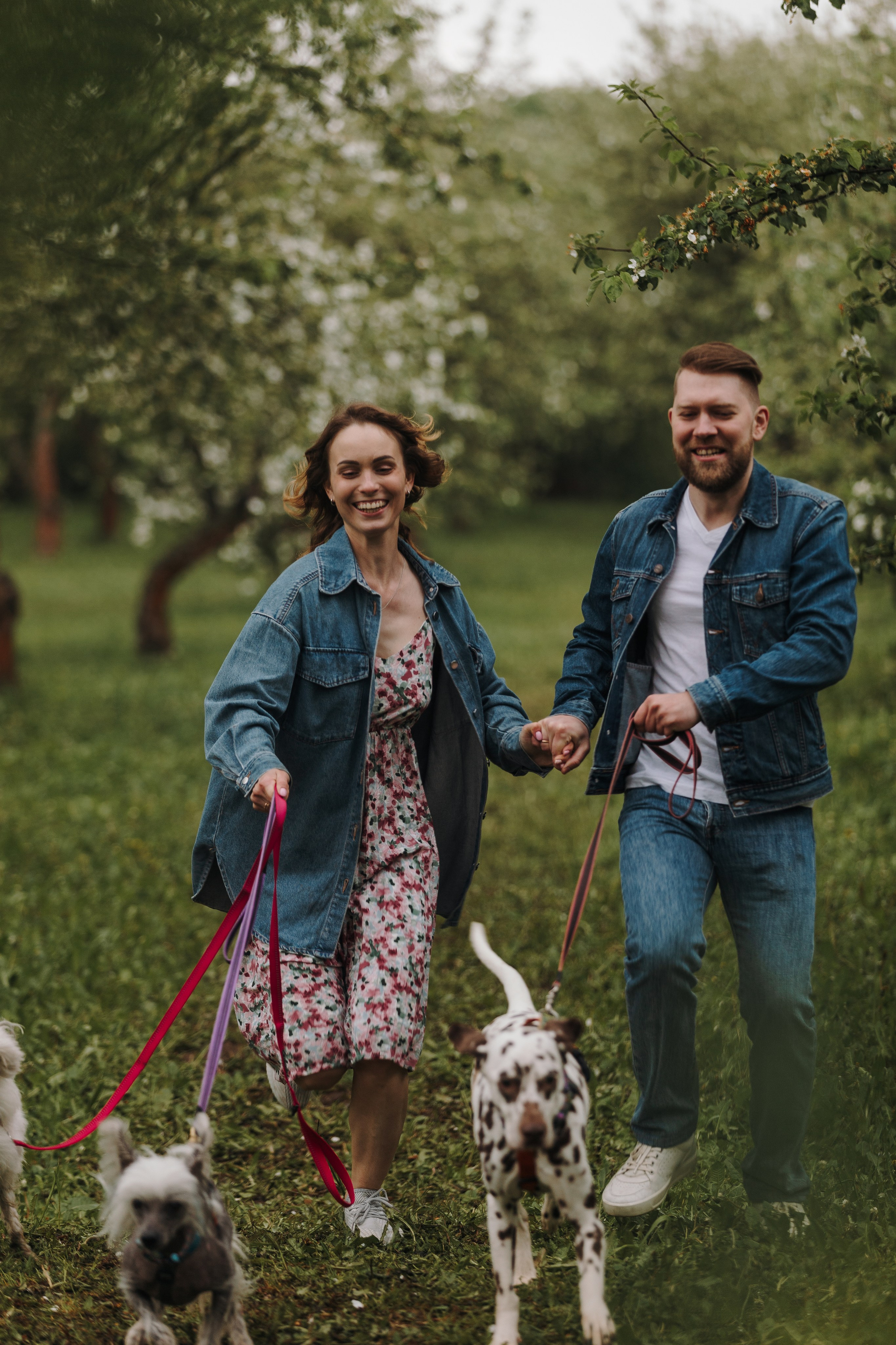 Лили, Уся, Вика и их семья. Фотограф анималист Кристина Карпова, Москва