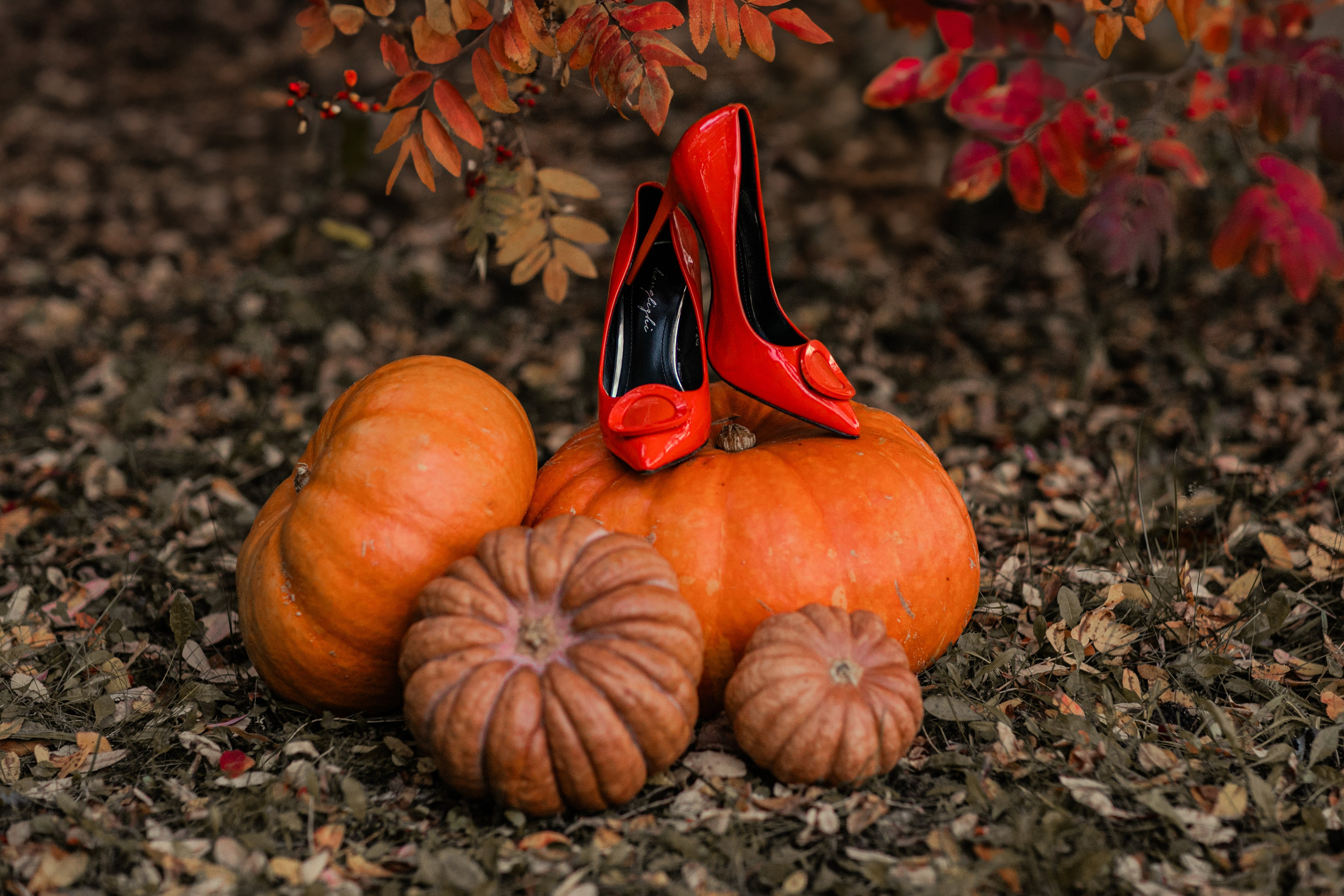 Очарование октября. Фотограф Елена Вишневская (Ушакова) Нефтеюганск, Сургут, Тюмень