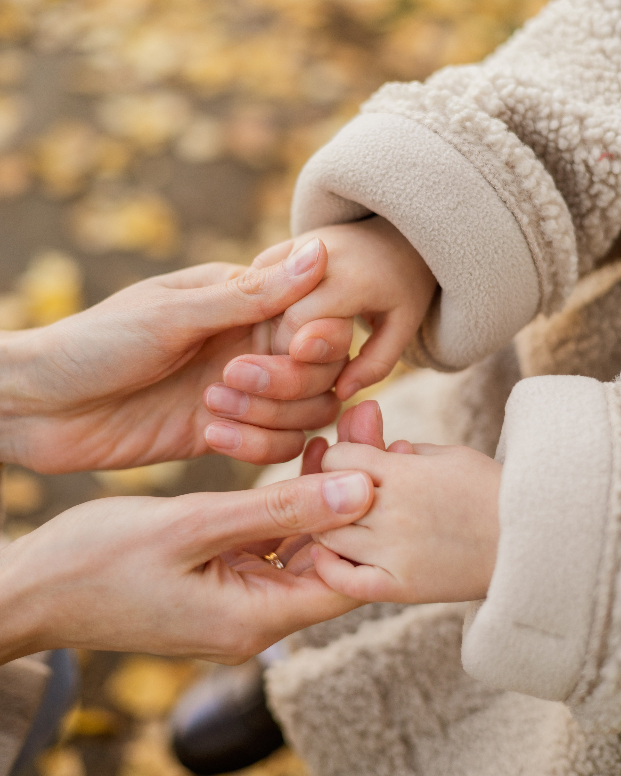 Осенняя пора. Фотограф в Костроме|Анастасия Куликова