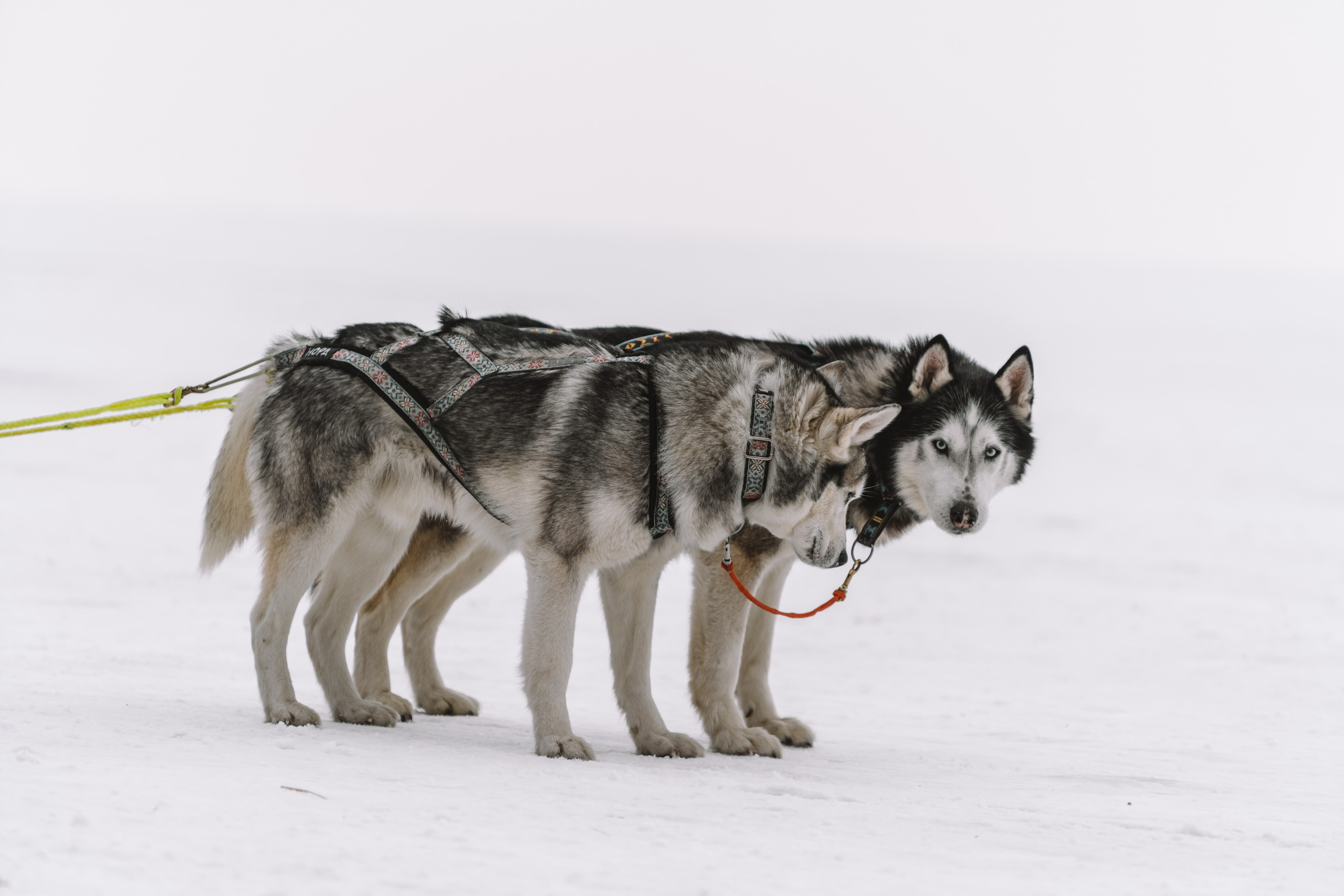 Байкал. Иркутск. Ольхон. Хужир. Листвянка. Оператор и Фотограф в Санкт-Петербурге и Москве