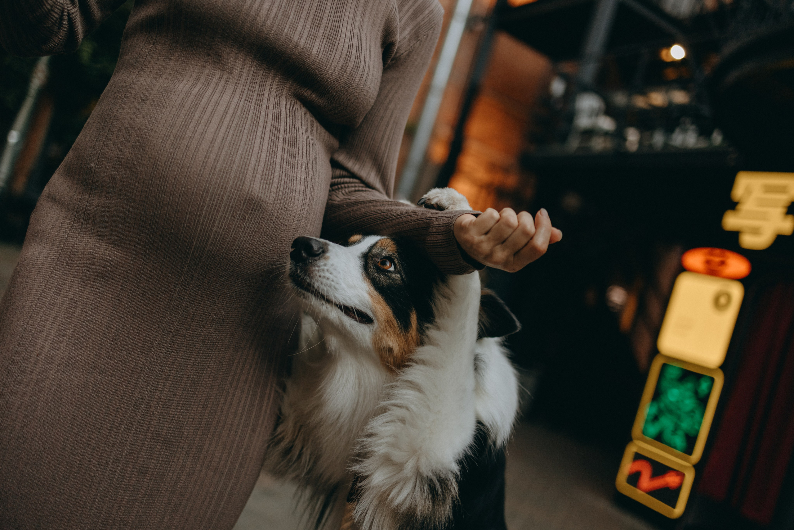 Катя и ее девочки. Фотограф — Анималист | Санкт-Петербург