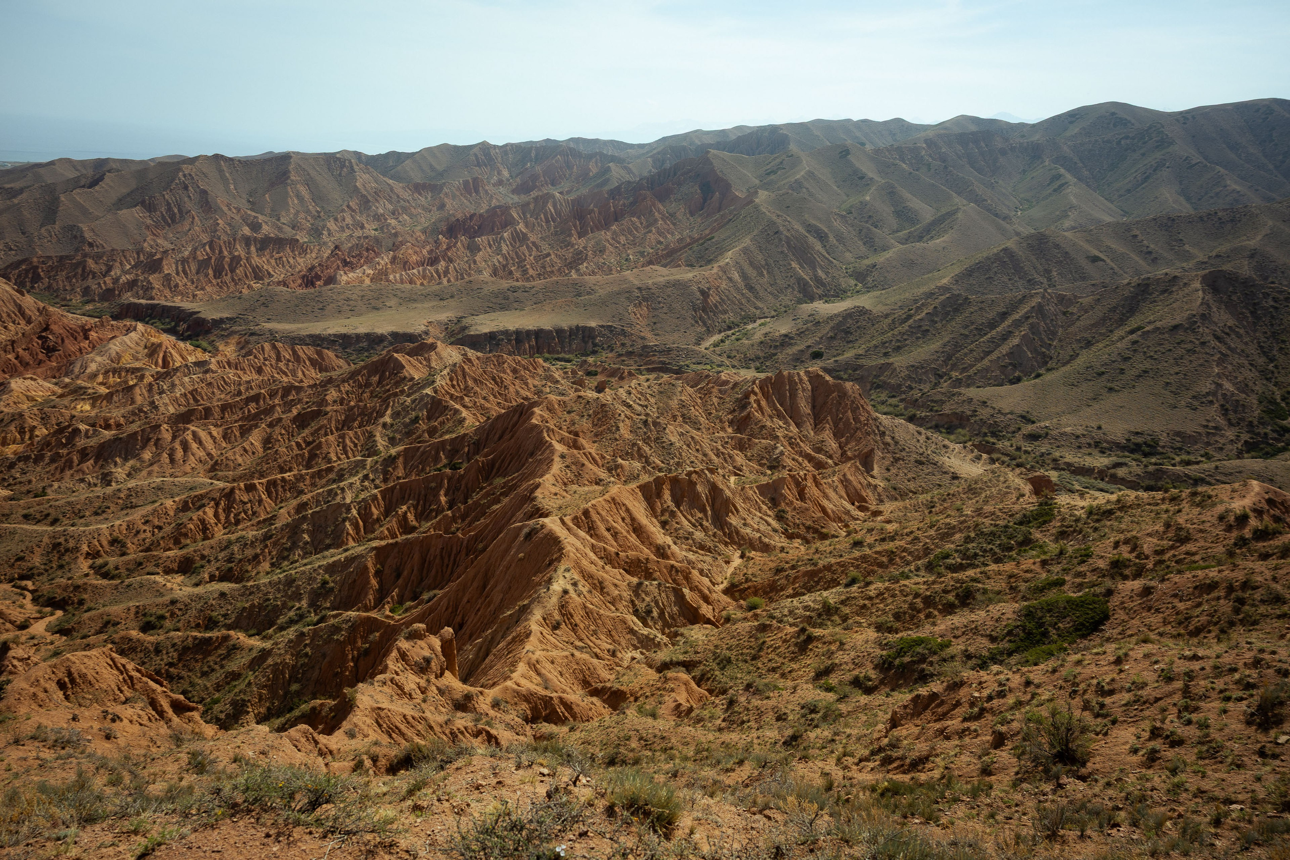 Кыргызстан (весна 2025). Фотограф Виноградов Константин