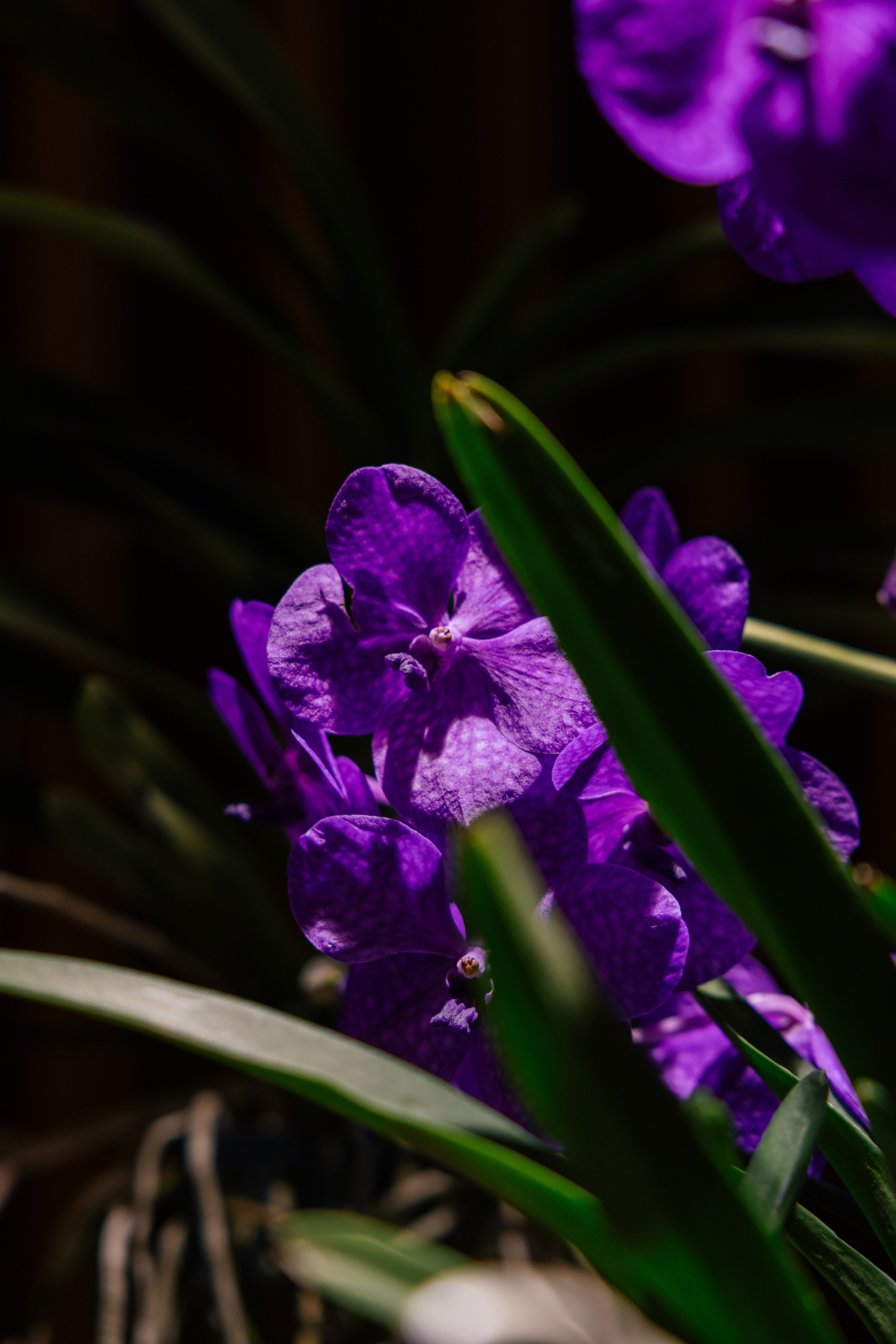 Private party Araik Galstyan & MELIÁ Barcelona Hotel. Europe Wedding Photo  — destination wedding photography across Europe and the Middle East