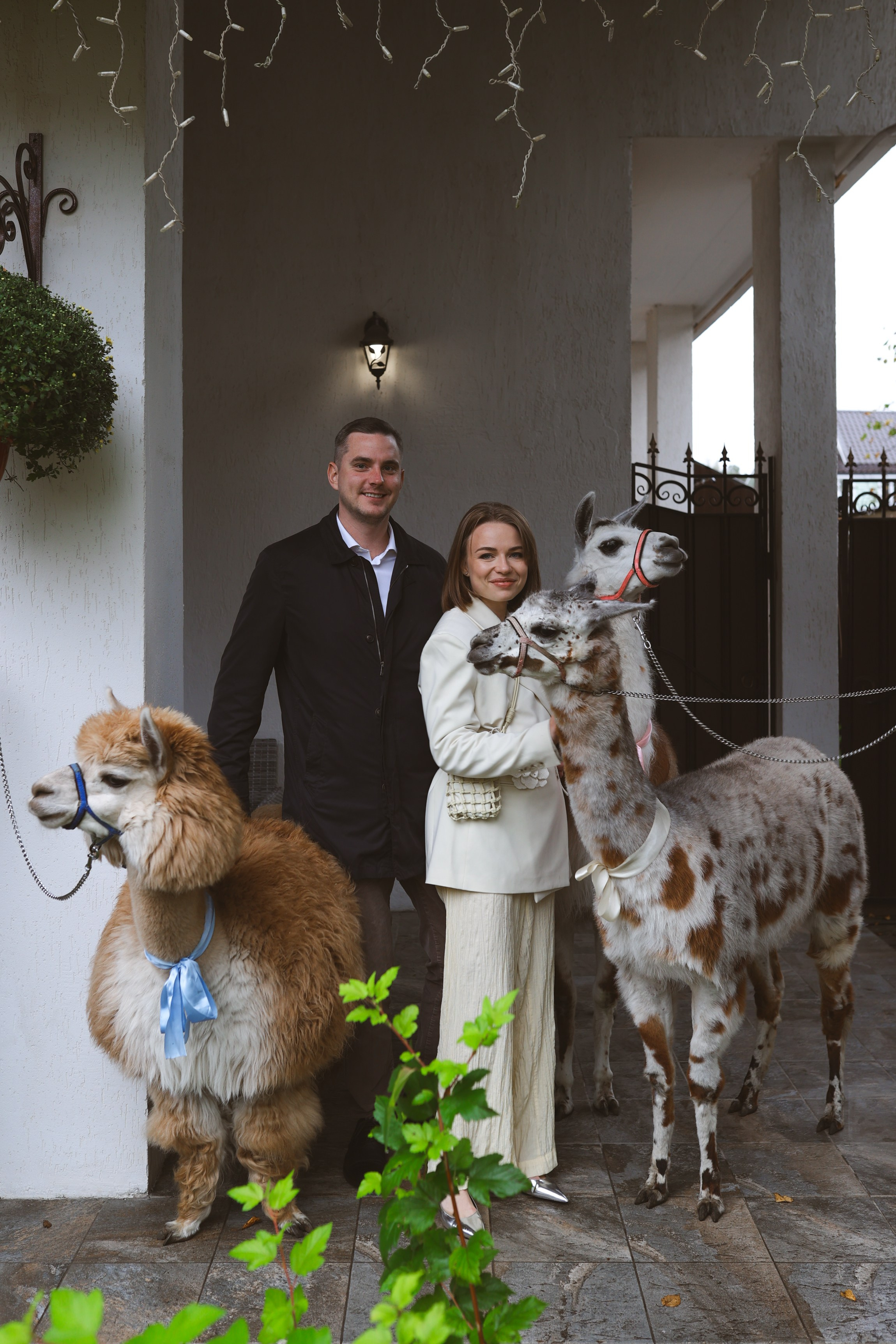 Зеленоградский ЗАГС. Свадебный фотограф Курзина Ольга | Москва