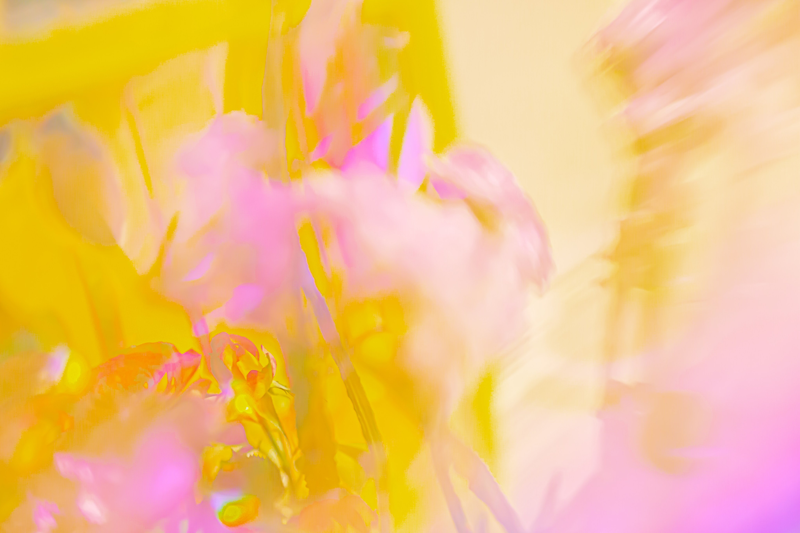 ЦВЕТА, 2025-2026. АННА ВЕРСО / ANNA VERSO | Визуальный художник / Visual artist