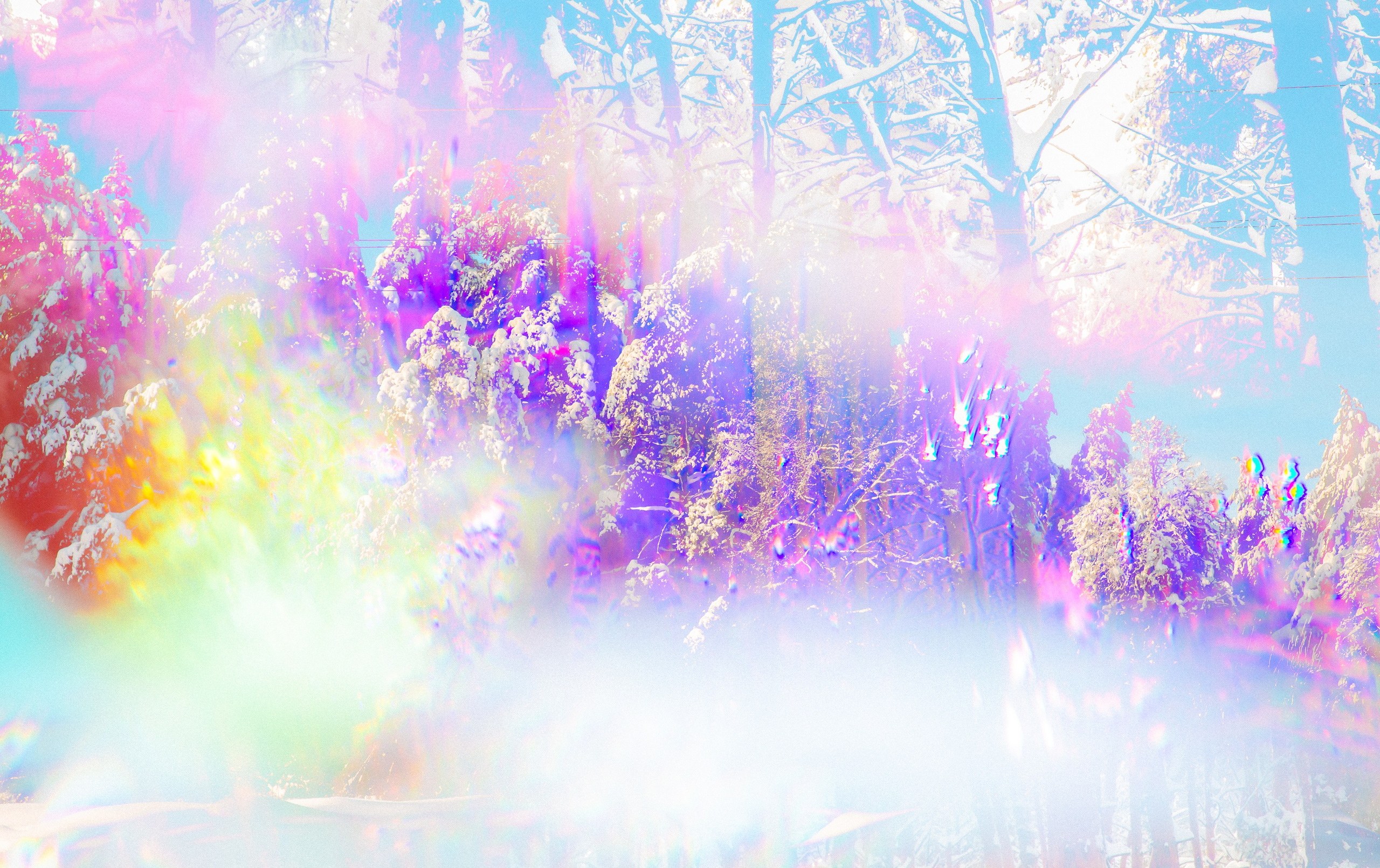 — 29С, 2026. АННА ВЕРСО / ANNA VERSO | Визуальный художник / Visual artist