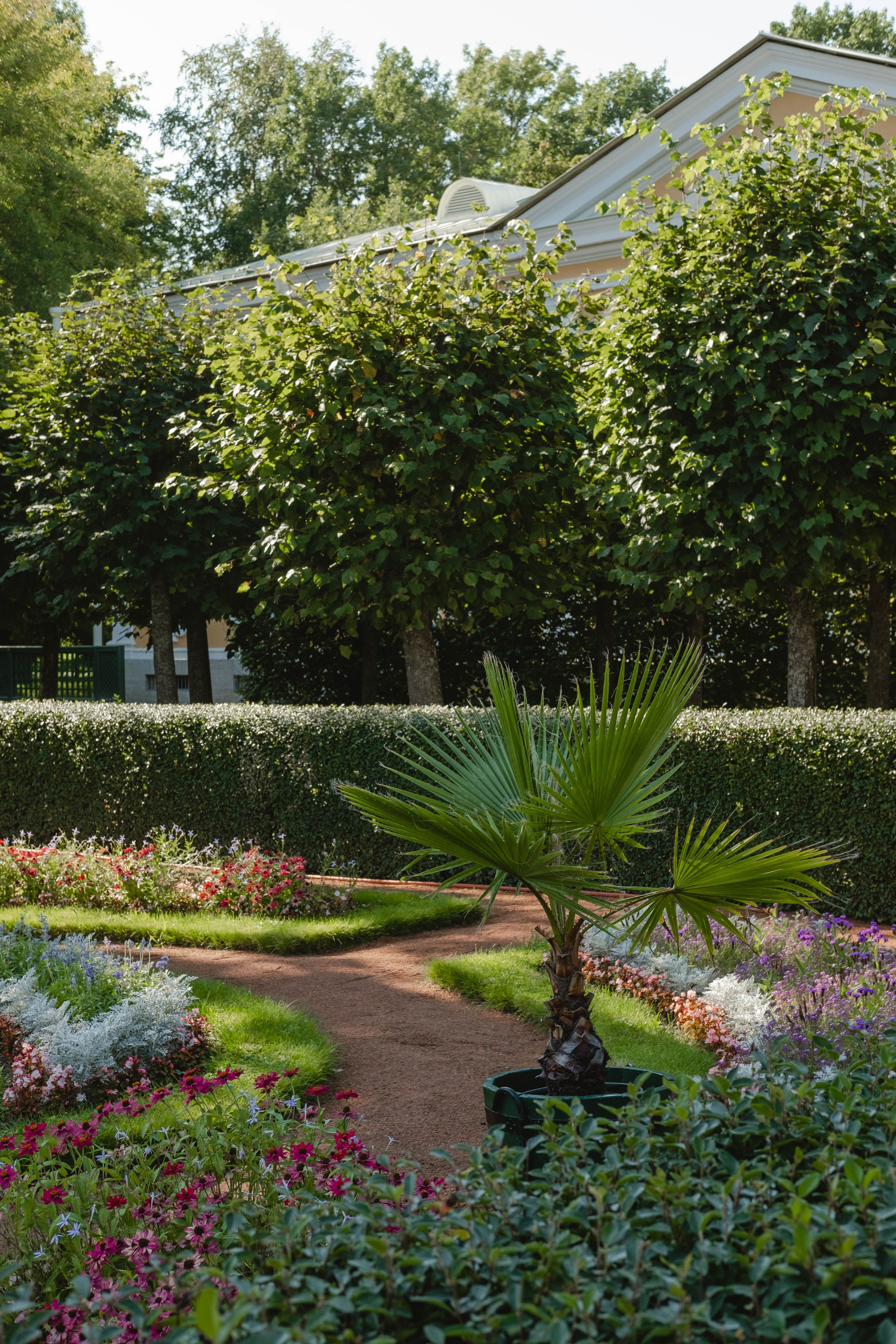 Питер 2024. Свадебный и семейный фотограф в Новосибирске, Санкт-Петербурге, Москве