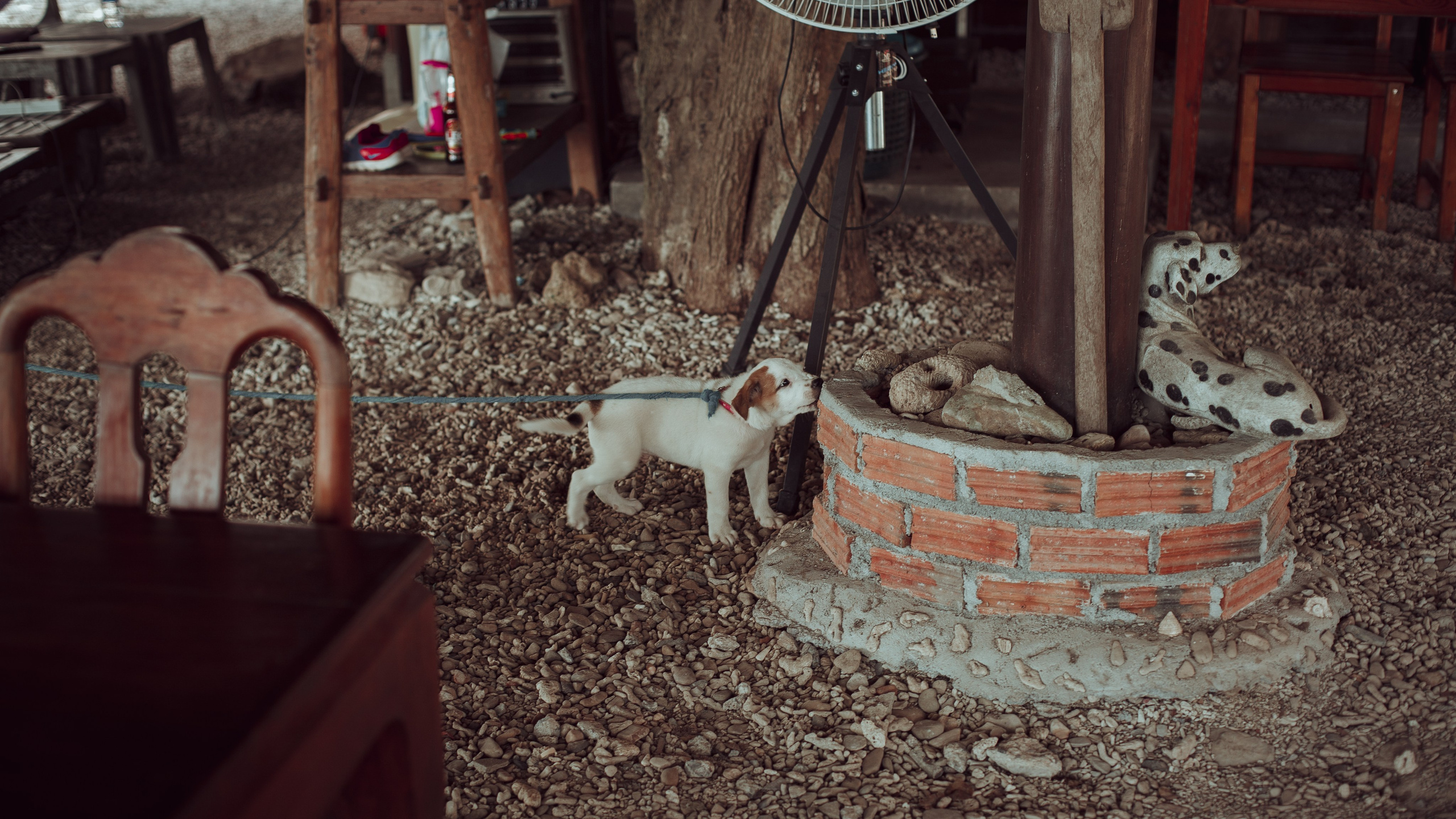 Самуи Собачий остров. Ню Фотограф Александр Касымов Москва, фотосессии, Химки фотограф