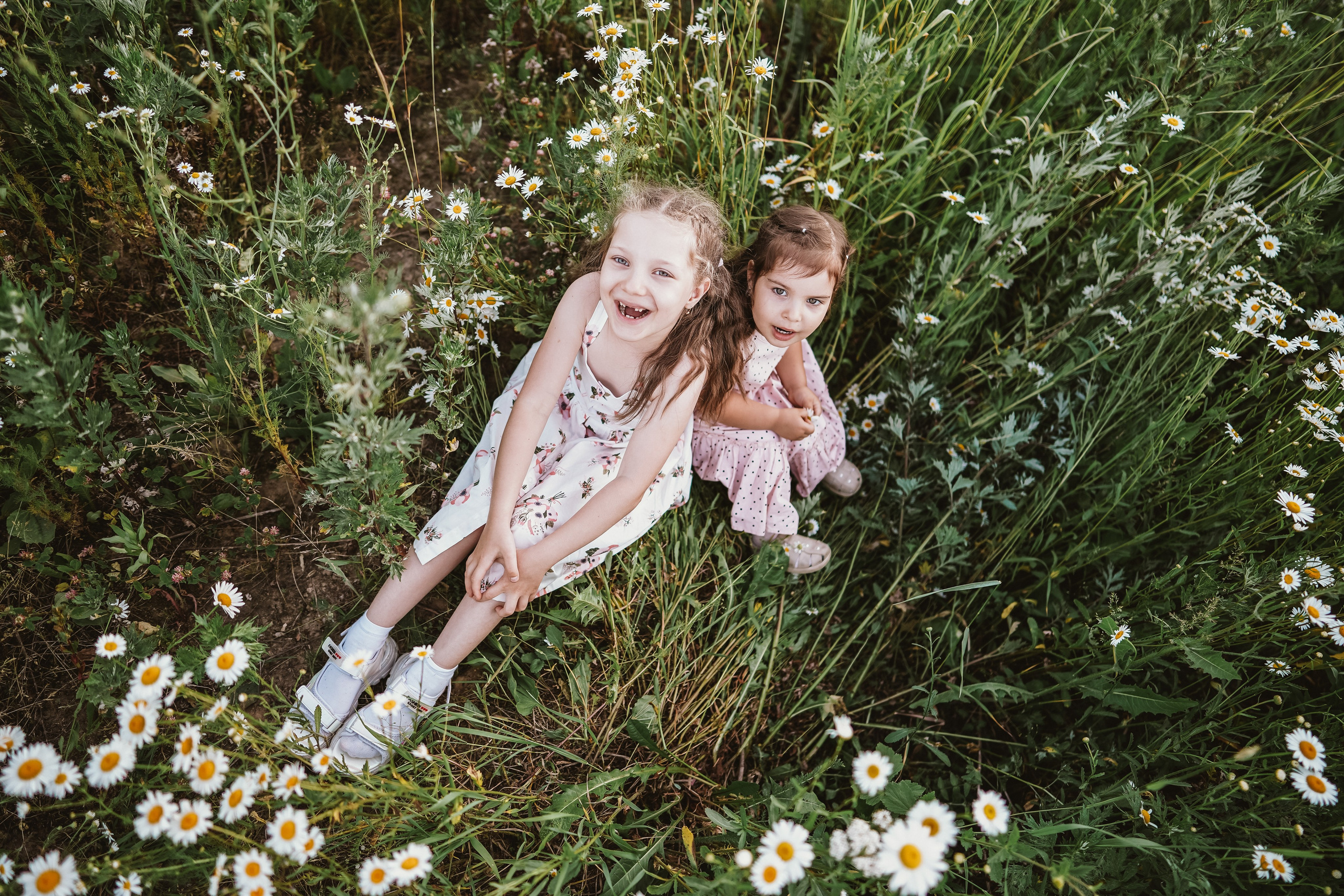 Аня и Даша в ромашках. Семейный и детский фотограф в Москве (Тинао) Галкина Алевтина