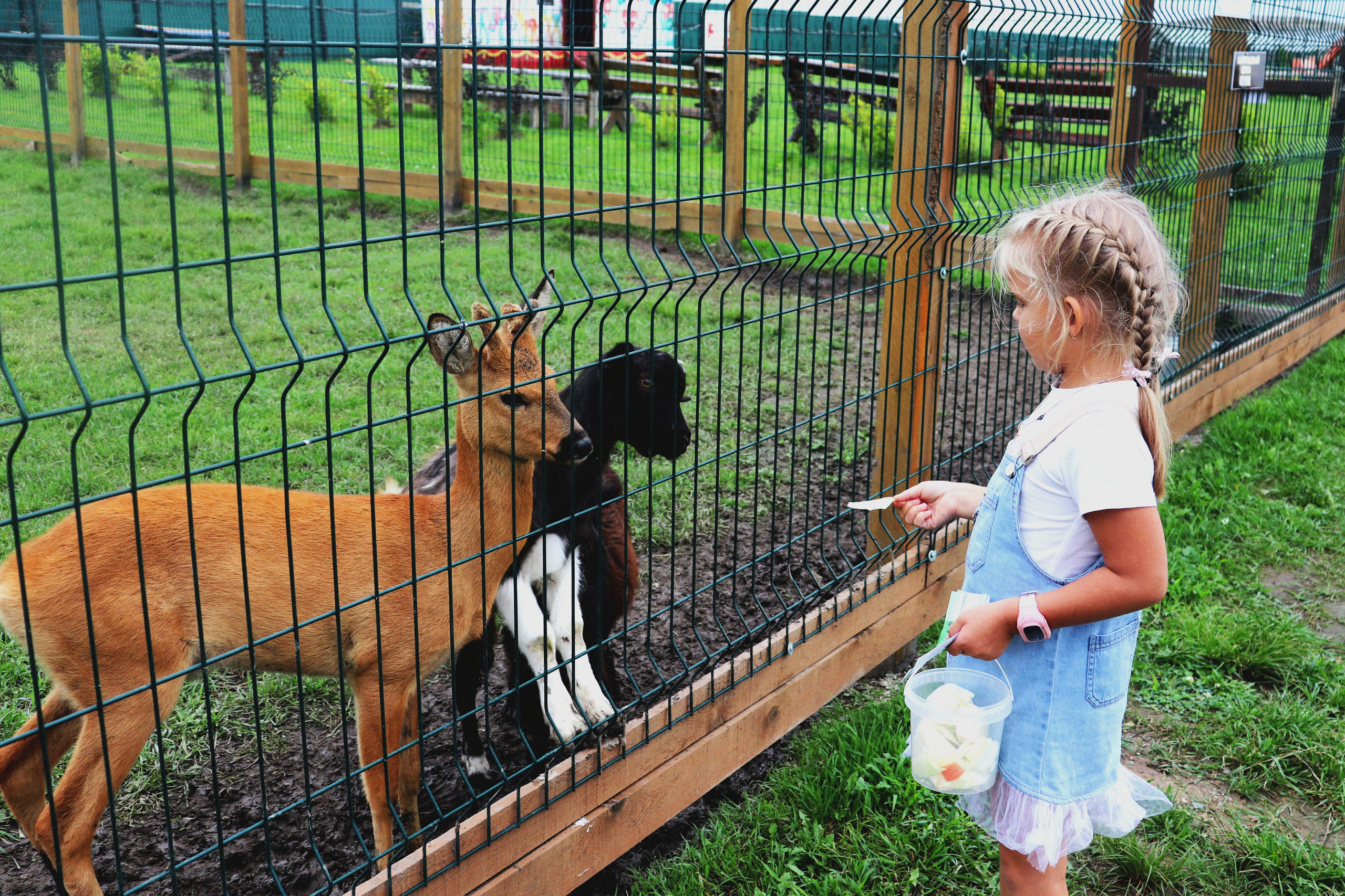 Детская съёмка. Фотограф Саратов | Елизавета Белова