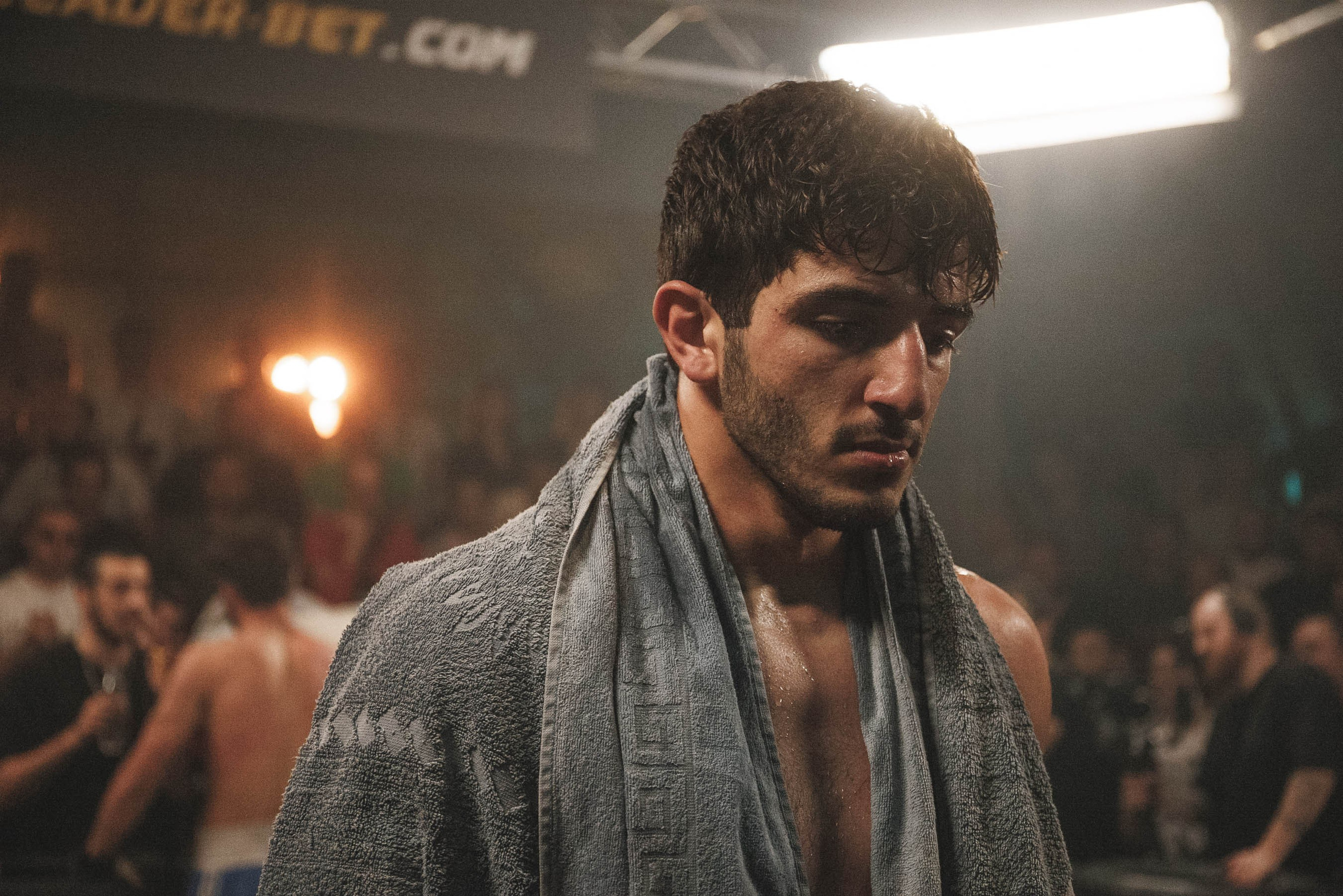 Fights // Social. Bivol images